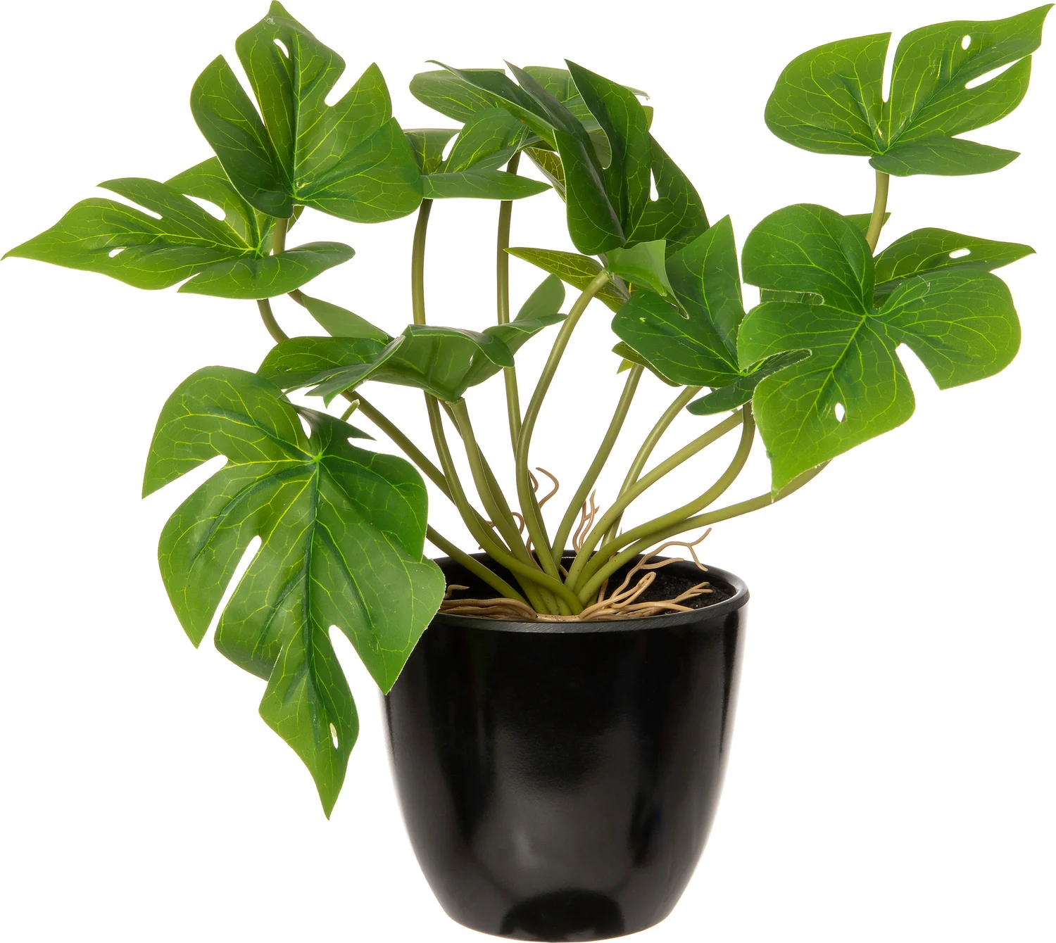 Intratuin kunstplant Monstera 17 x 17 x 24 cm