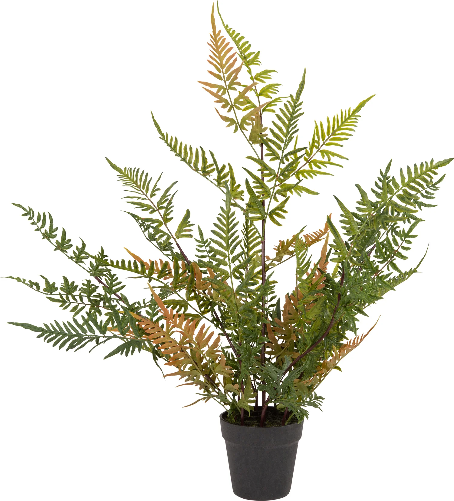Intratuin kunstplant Japanse varen 91 cm