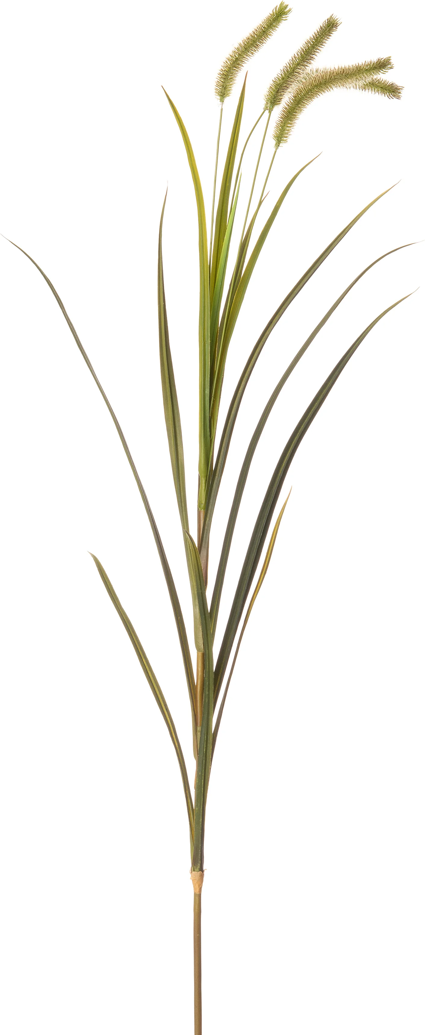 Intratuin Kunsttak Lampenpoetsersgras groen 137 cm