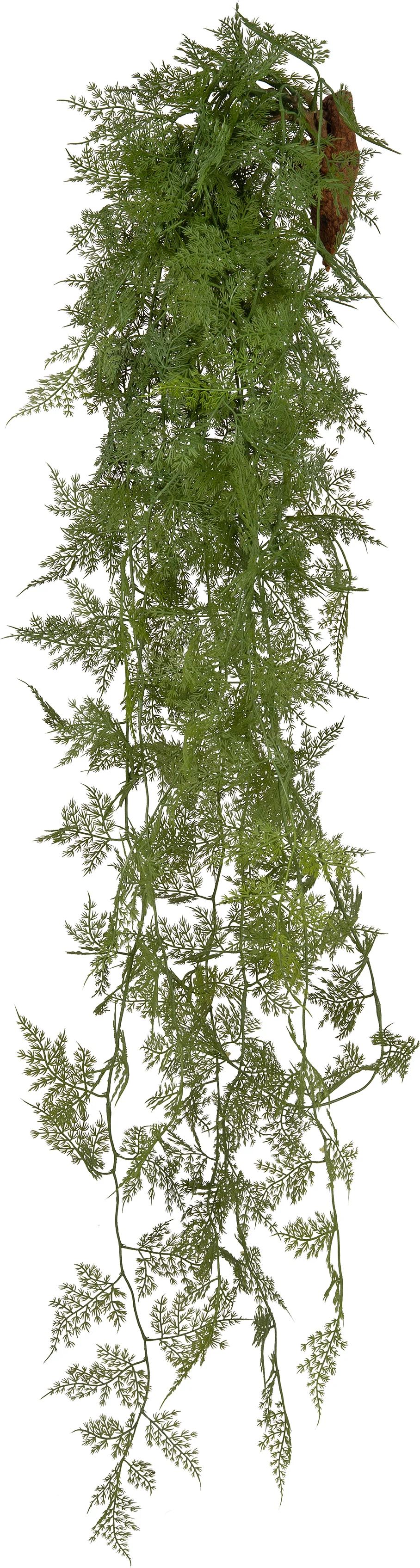 Intratuin kunsthangplant Sierasperge 132 cm