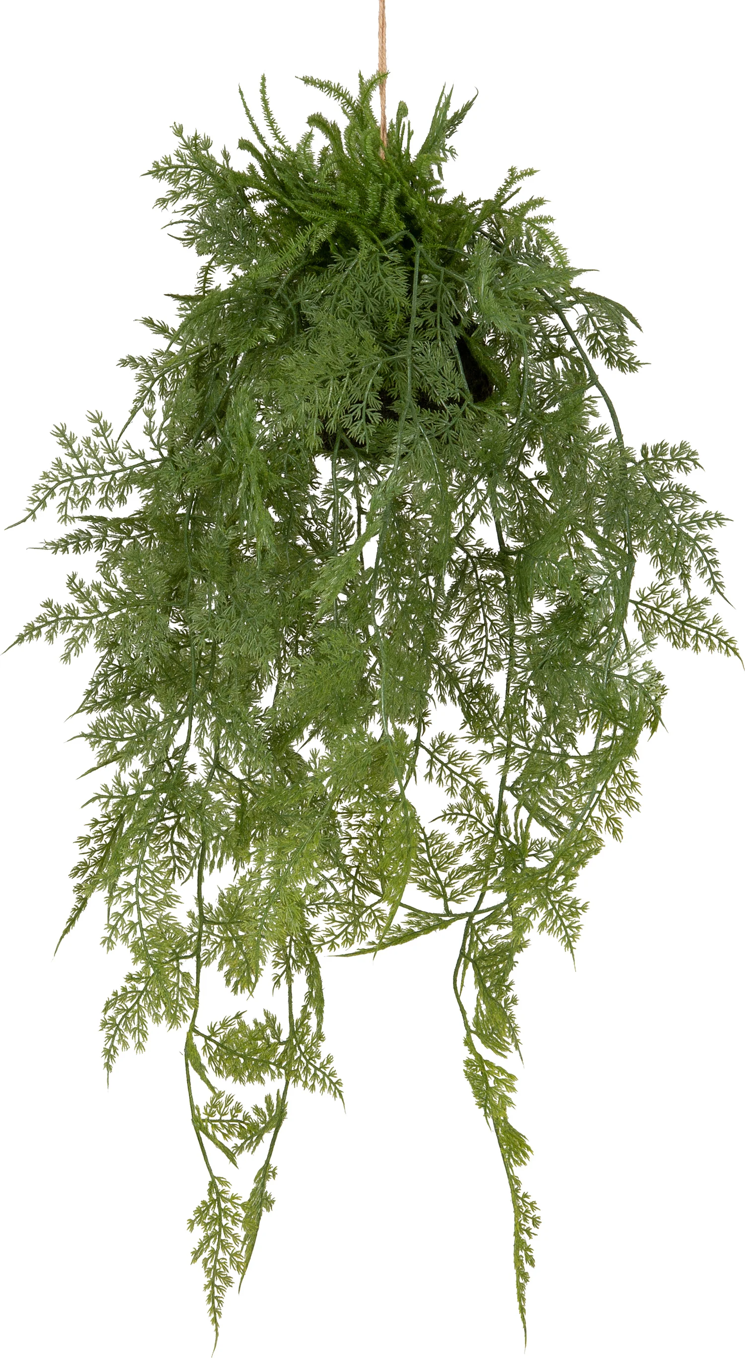 Intratuin kunsthangplant Sierasperge 61 cm