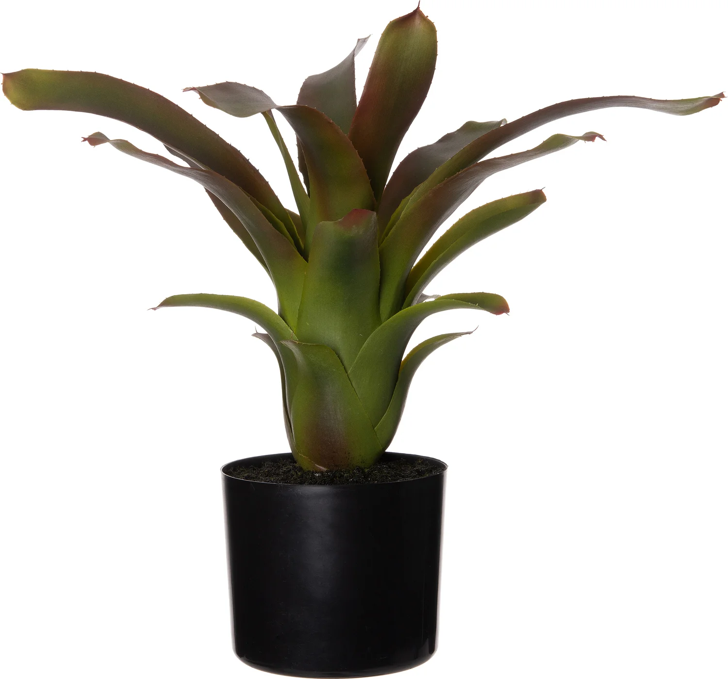 Intratuin kunstplant Bromelia 53 x 53 x 46 cm