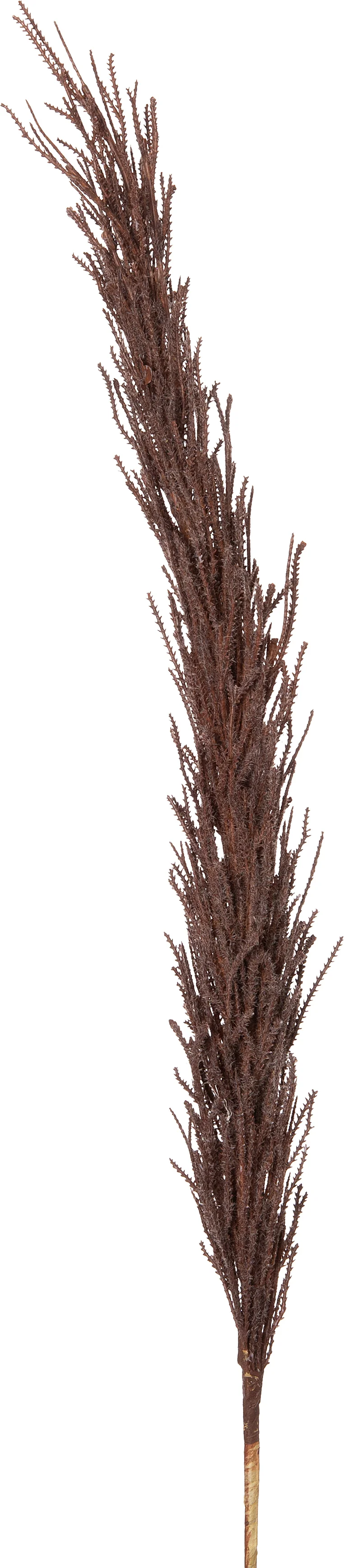 Intratuin kunsttak Pampasgras bruin 102 cm