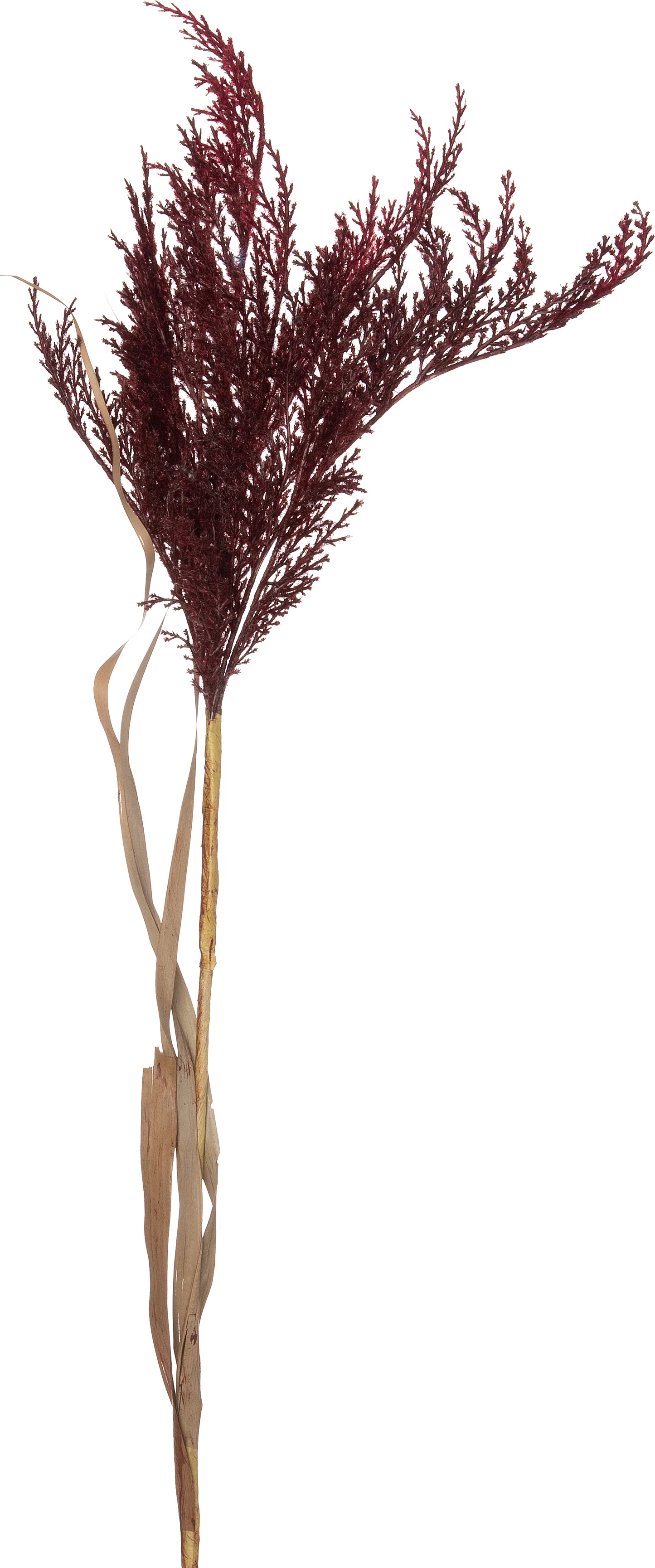 Intratuin kunsttak Siergras rood 103 cm