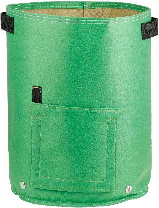 Intratuin kweekbak aardappels groen D 35 H 45 cm