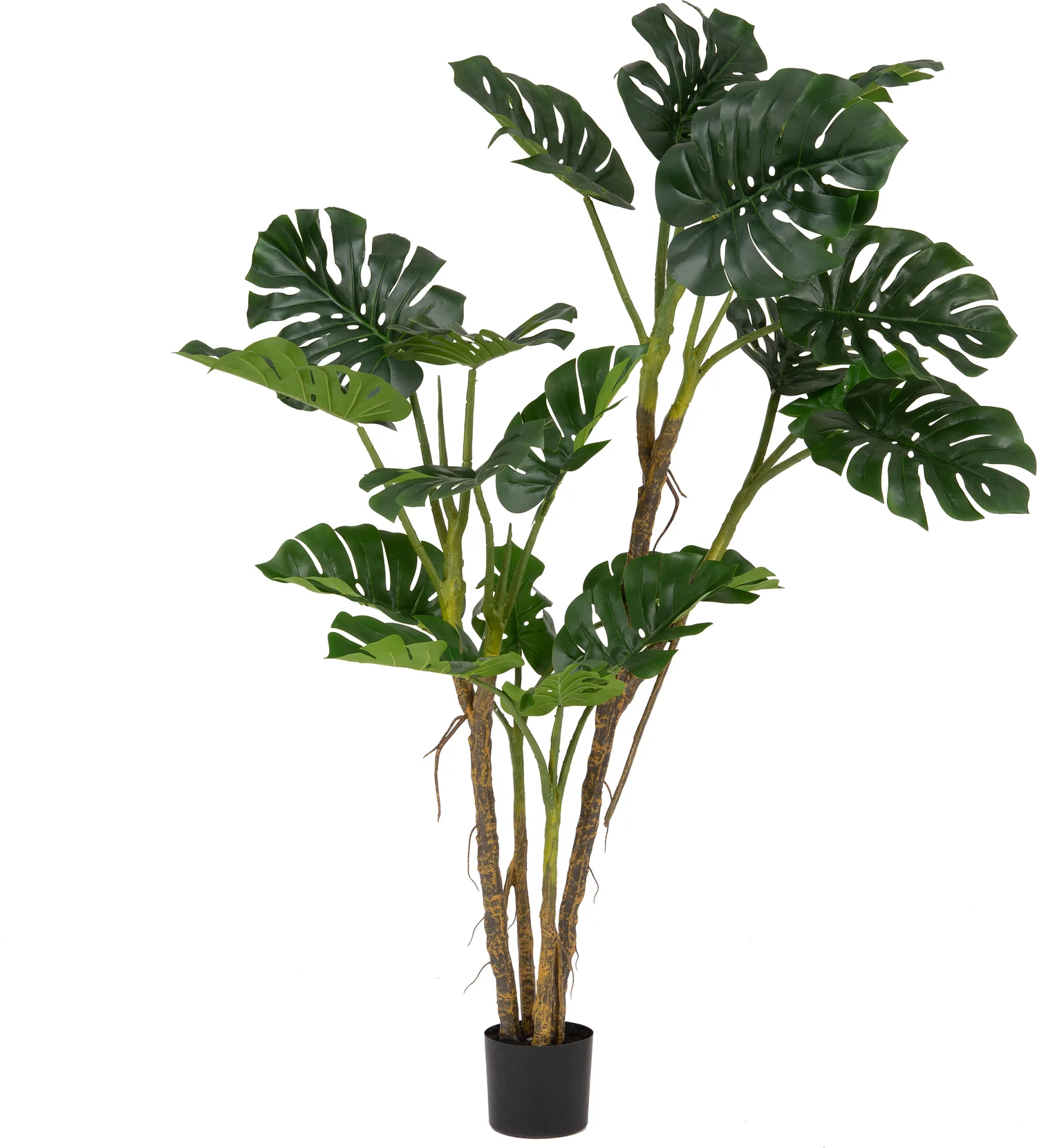 Intratuin kunstplant Gatenplant 180 cm