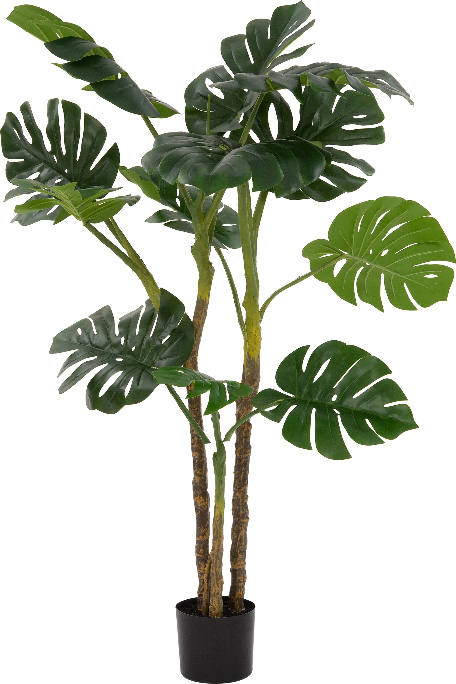 Intratuin kunstplant Gatenplant 150 cm