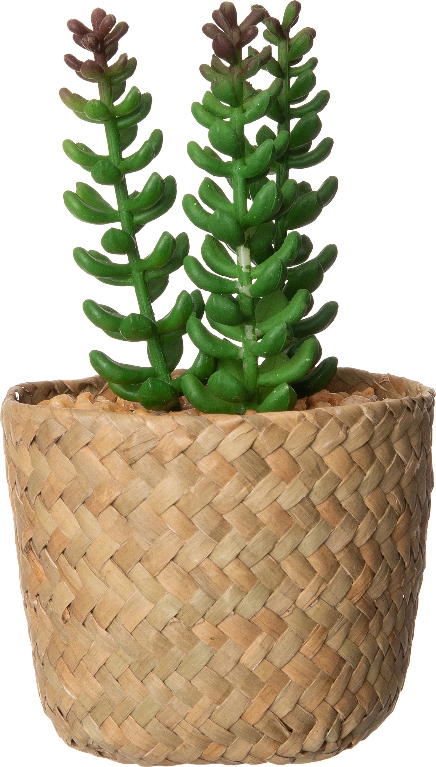Intratuin kunstplant vetplant 9 x 9 x 16 cm