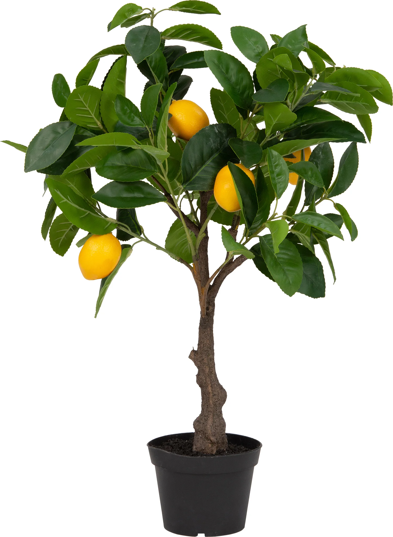 Intratuin kunstplant Citroenboom 70 cm