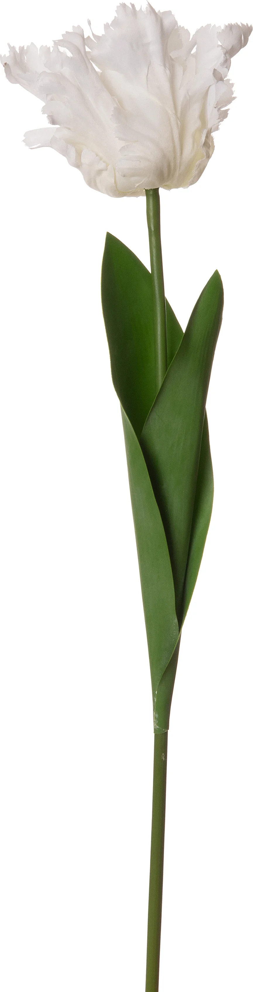Intratuin kunstbloem Tulp wit 66 cm