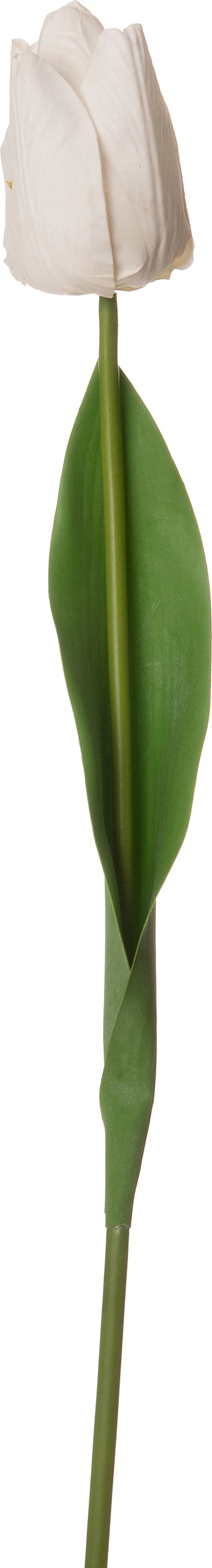 Intratuin kunstbloem Tulp wit 52 cm