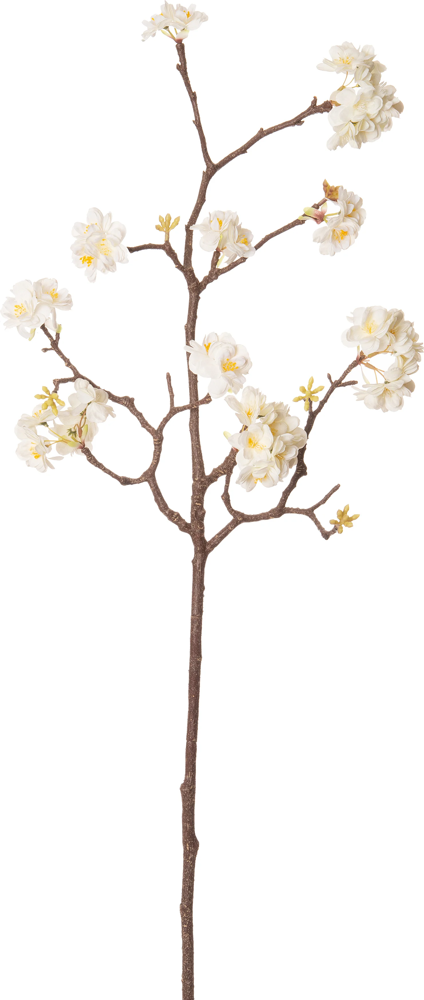 Intratuin kunstbloem Japanse Sierkers wit 110 cm