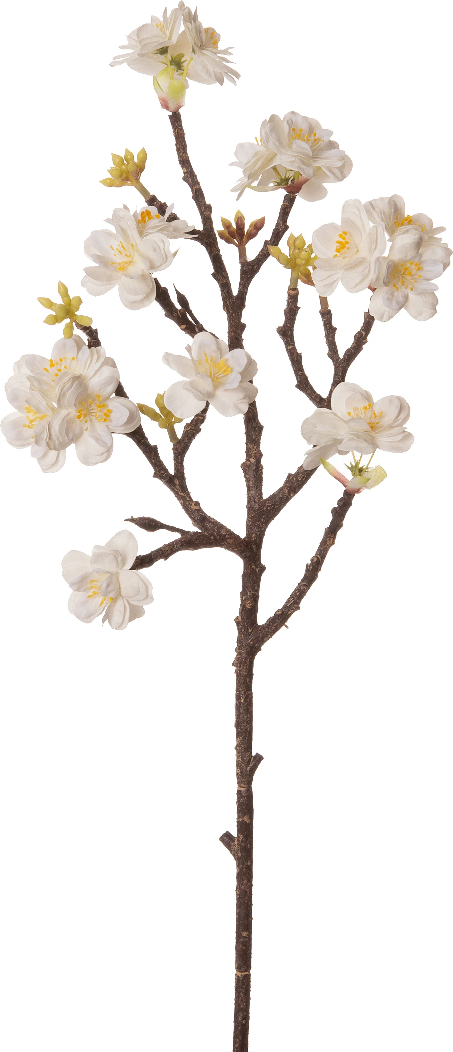 Intratuin kunstbloem Japanse Sierkers wit 65 cm