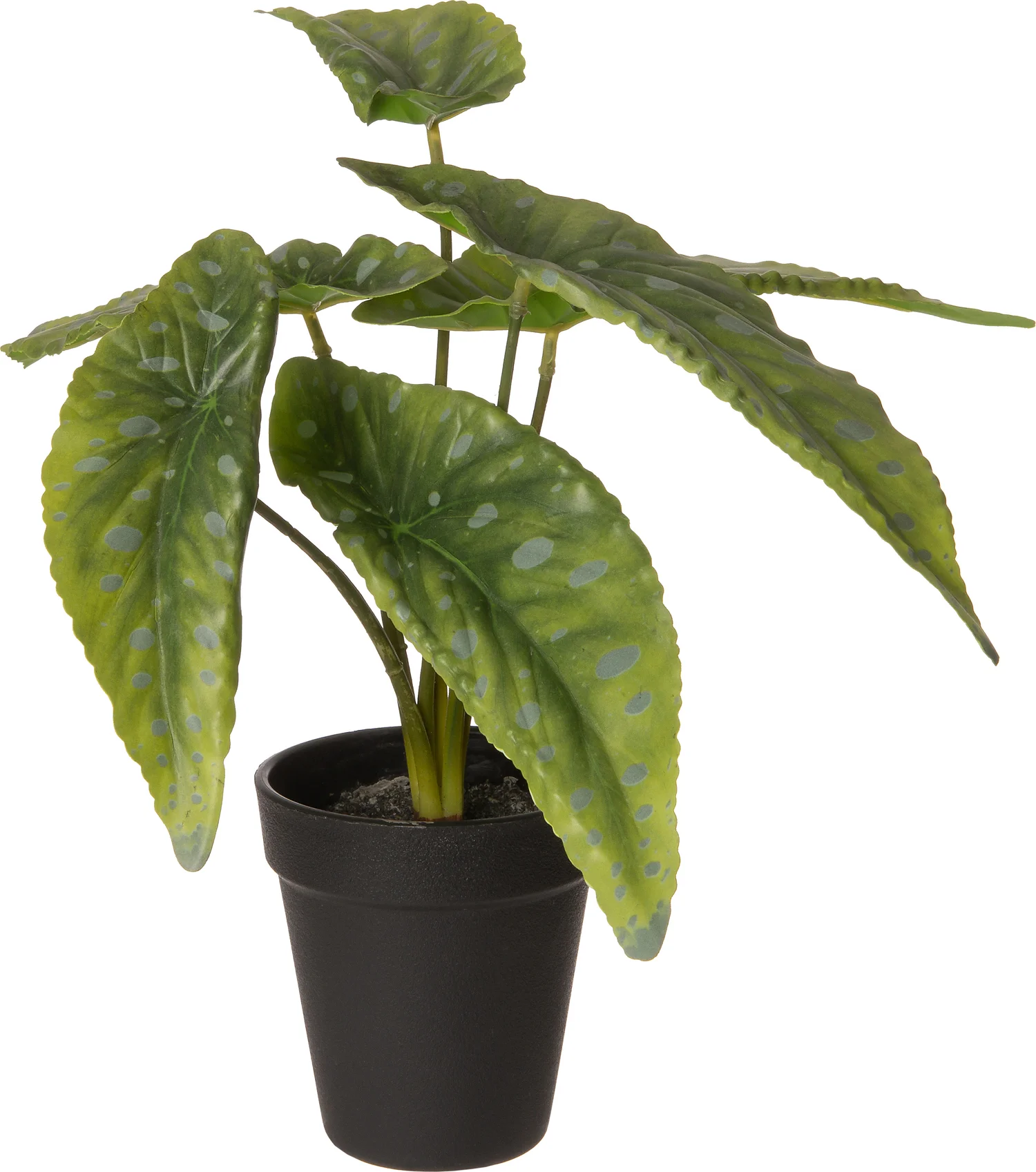 Intratuin kunstplant Stippenbegonia D 9,5 H 26 cm