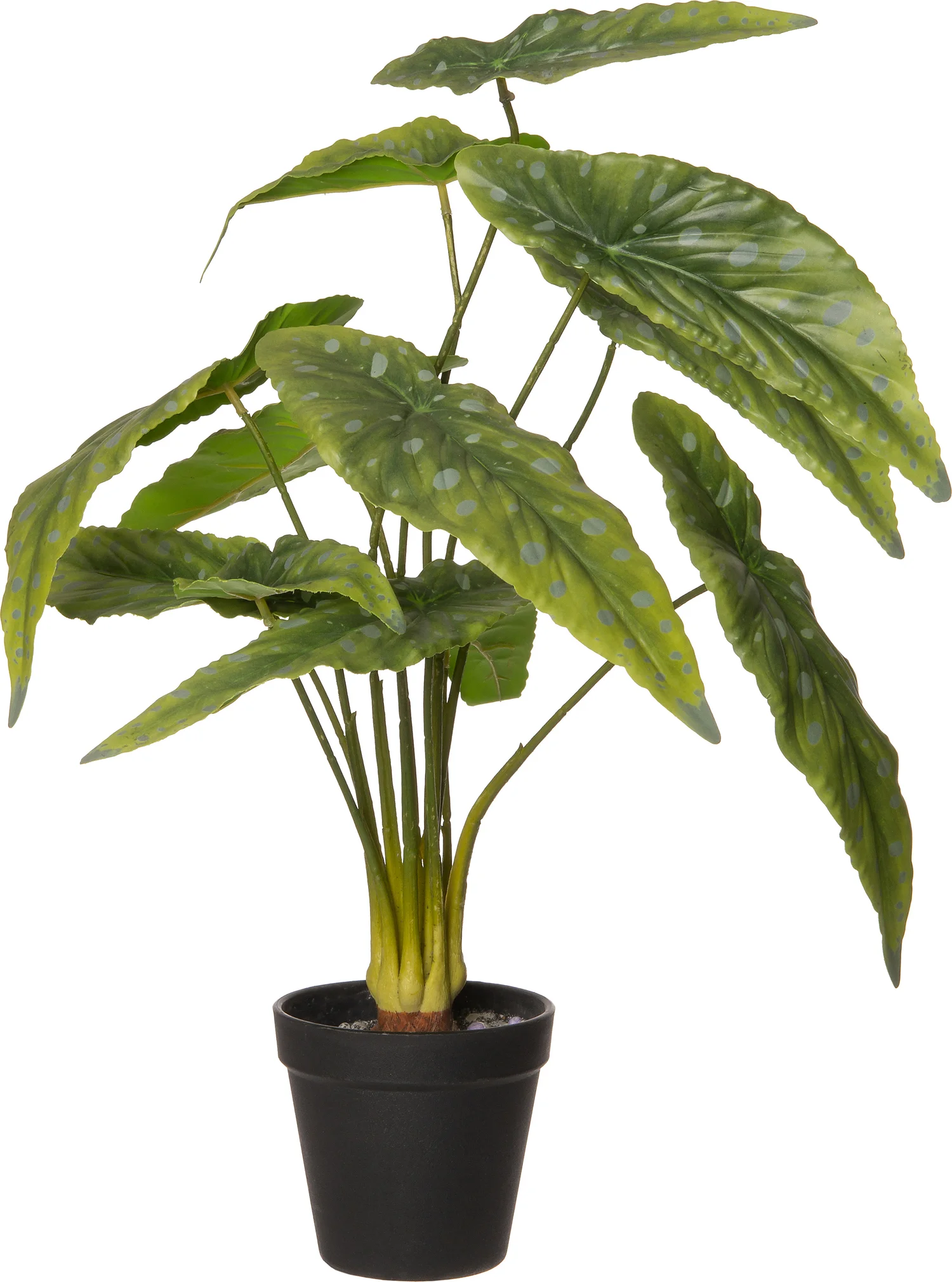 Intratuin kunstplant Stippenbegonia D 12 H 48 cm