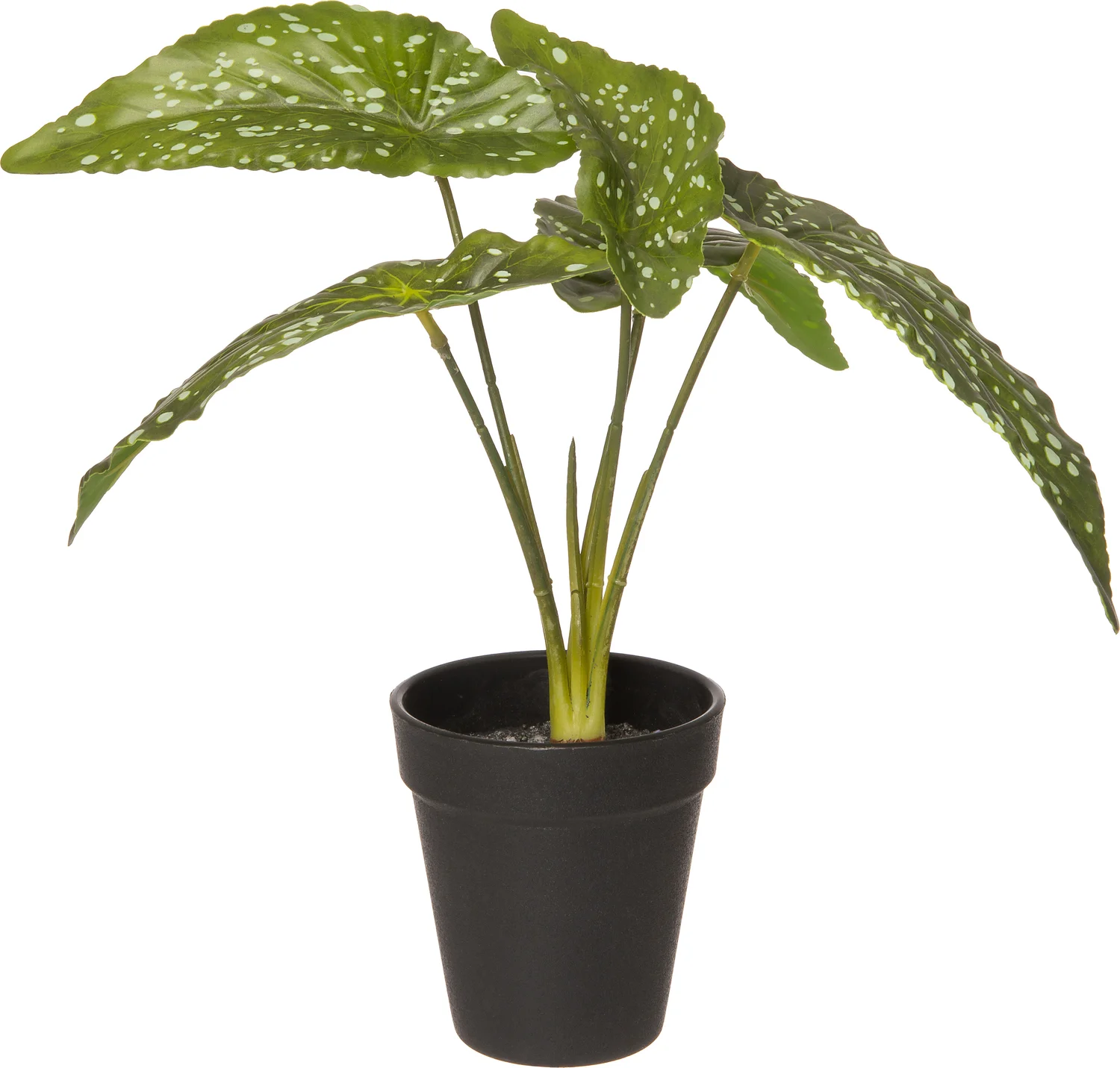 Intratuin kunstplant Olifantsoor D 12 H 26 cm