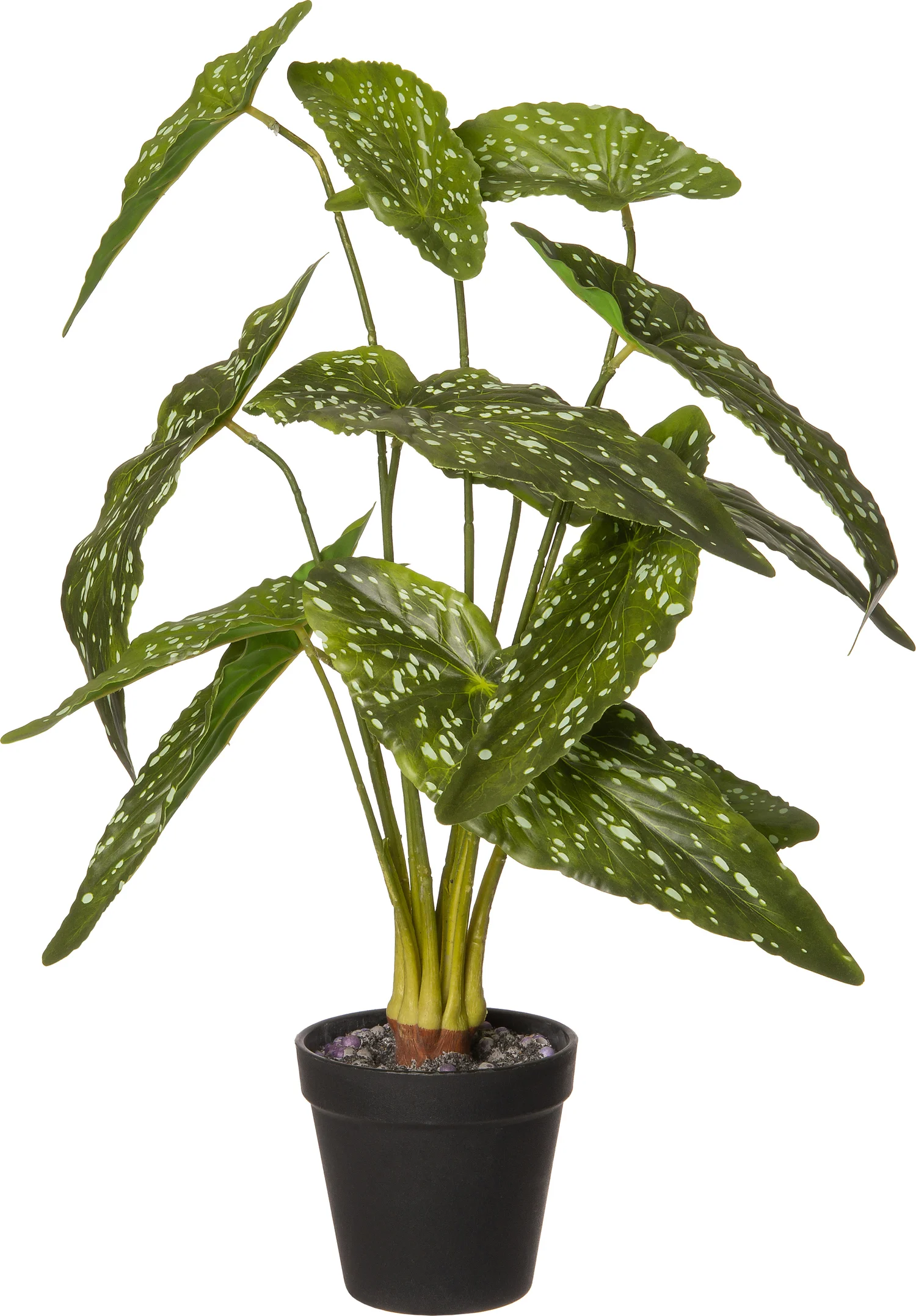 Intratuin kunstplant Olifantsoor D 10 H 48 cm