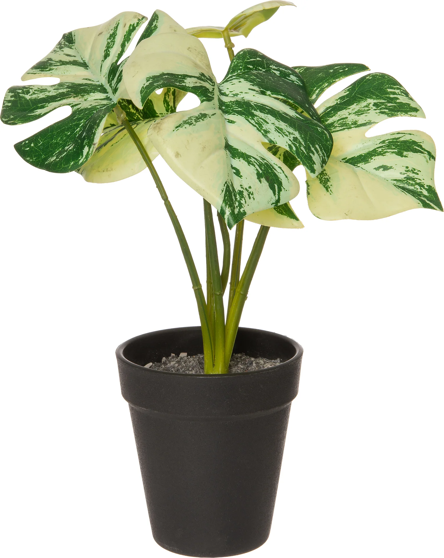 Intratuin kunstplant Monstera D 12,5 H 26 cm