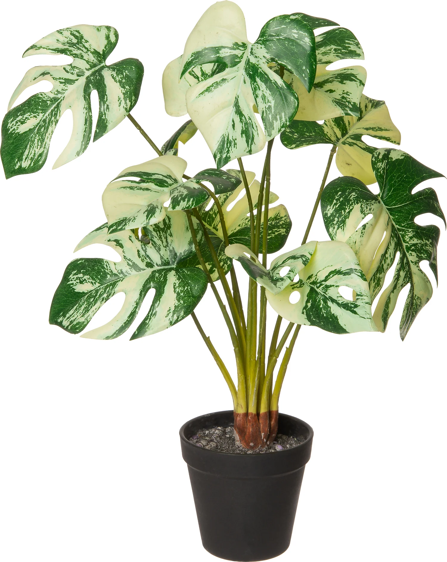 Intratuin kunstplant Monstera D 10 H 51 cm