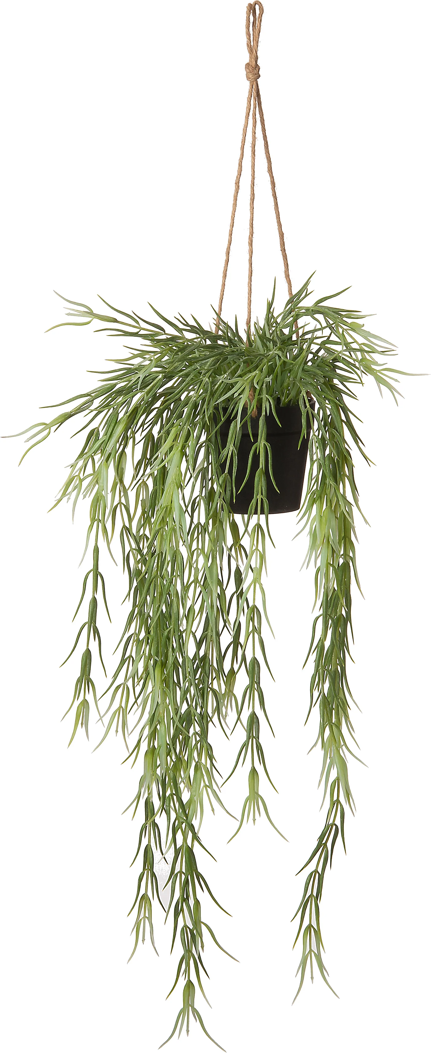 Intratuin kunsthangplant Smalle wasbloem D 9,5 H 25 cm
