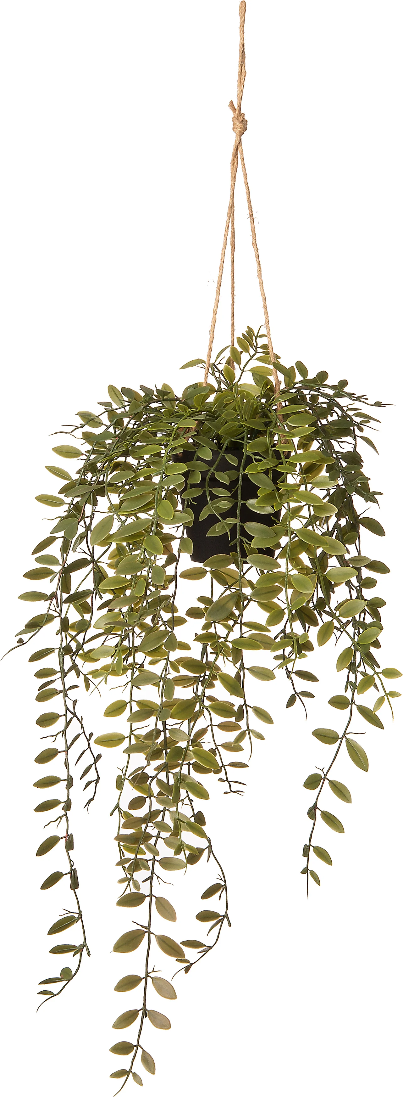 Intratuin kunsthangplant met fijn blad D 9,5 H 30 cm