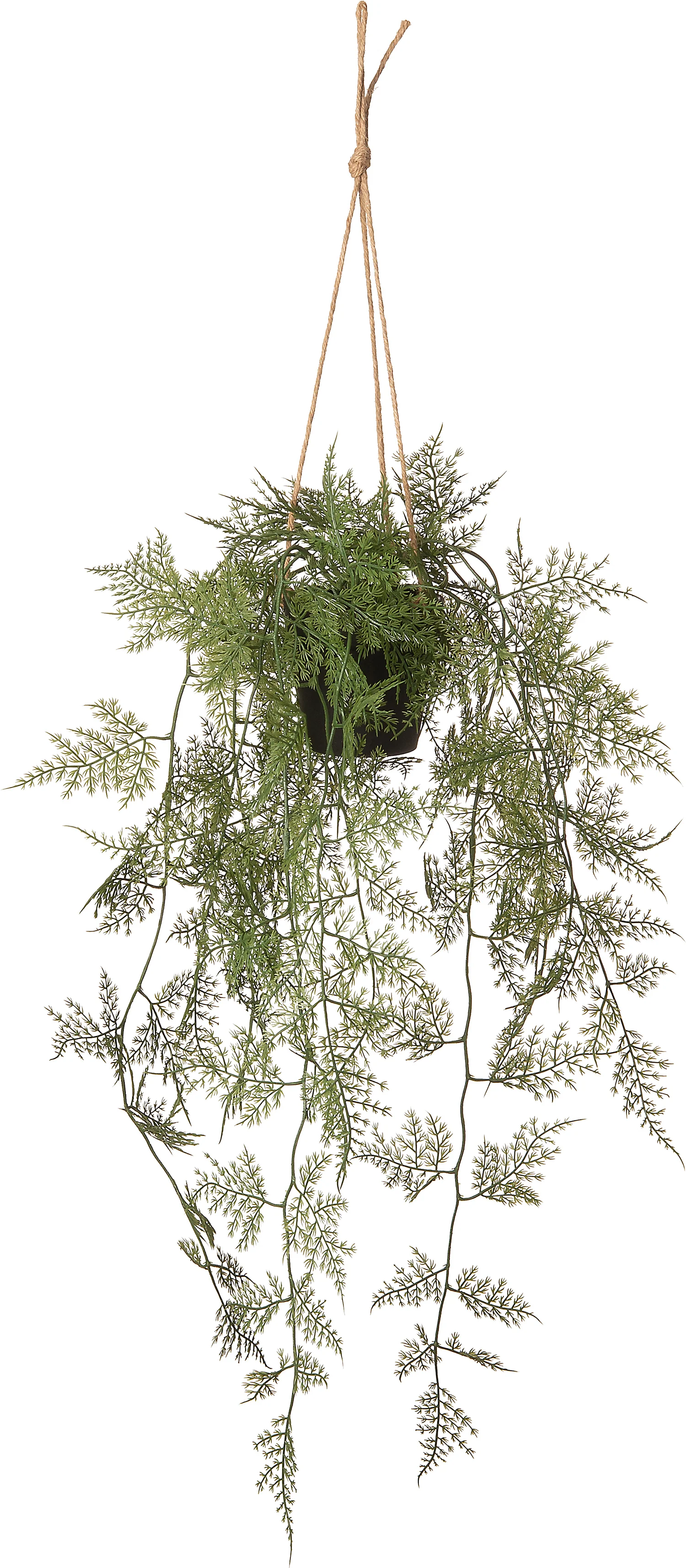 Intratuin kunsthangplant Sierasperge D 9,5 H 30 cm
