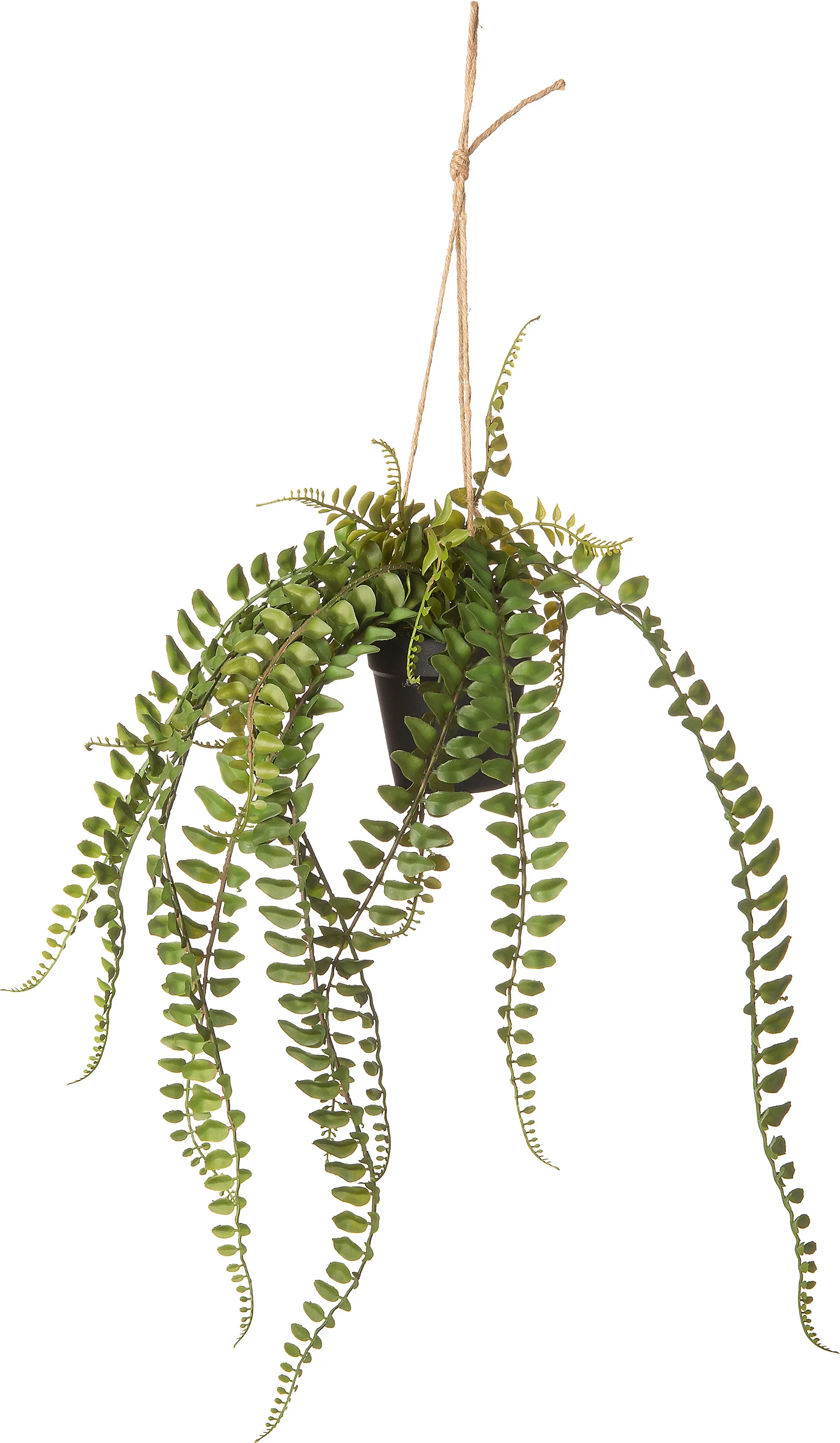 Intratuin kunsthangplant varen D 9,5 H 35 cm
