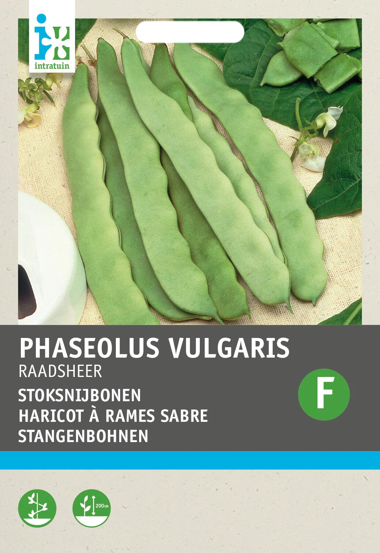 Intratuin groentezaad Stoksnijboon (Phaseolus vulgaris 'Raadsheer type Veense')