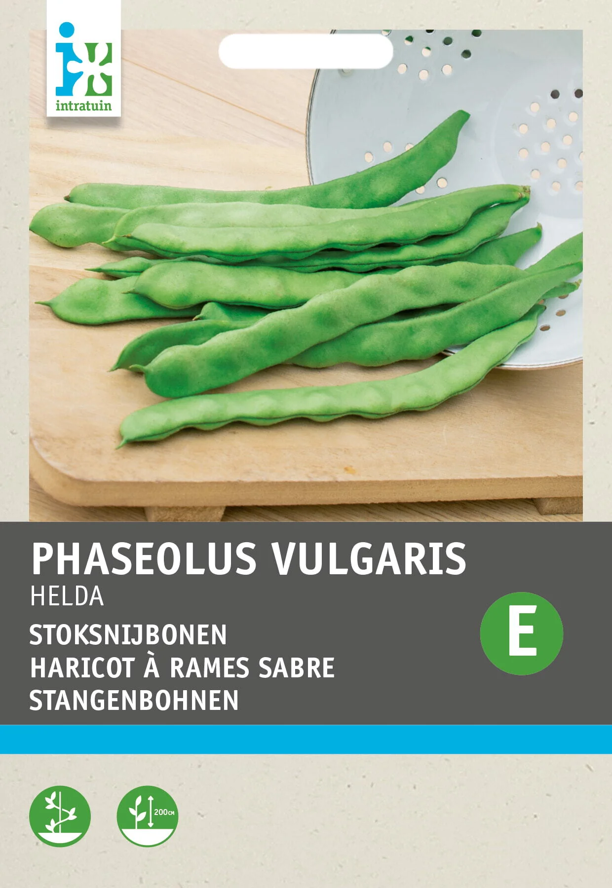 Intratuin groentezaad Stoksnijboon (Phaseolus vulgaris 'Helda')