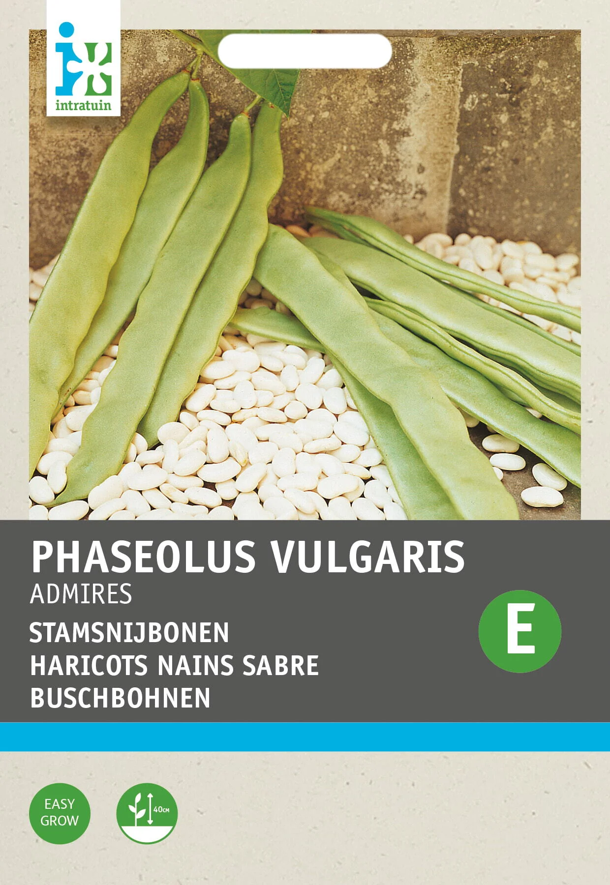 Intratuin groentezaad Stoksnijboon (Phaseolus vulgaris 'Admires')