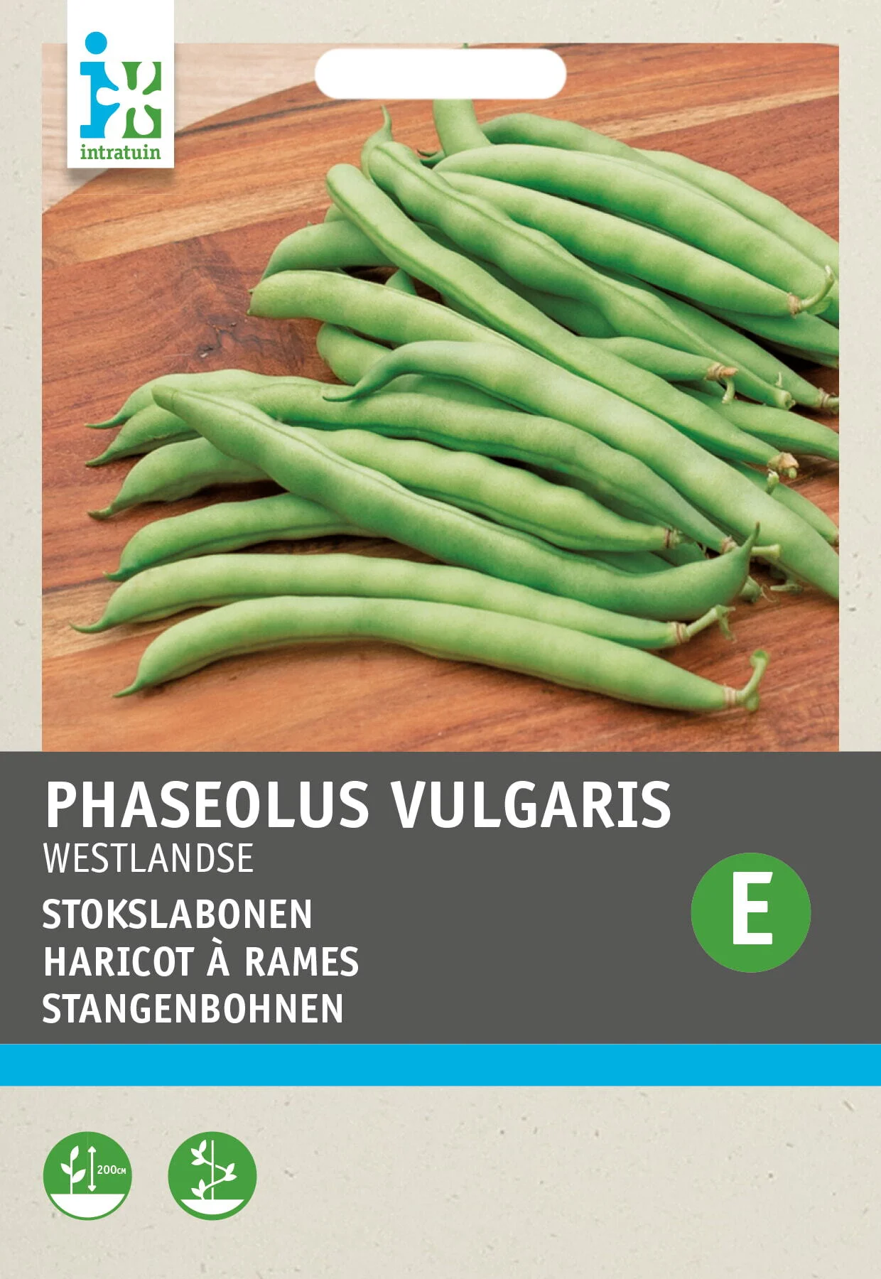 Intratuin groentezaad Stokslaboon (Phaseolus vulgaris 'Westlandse dubbele')