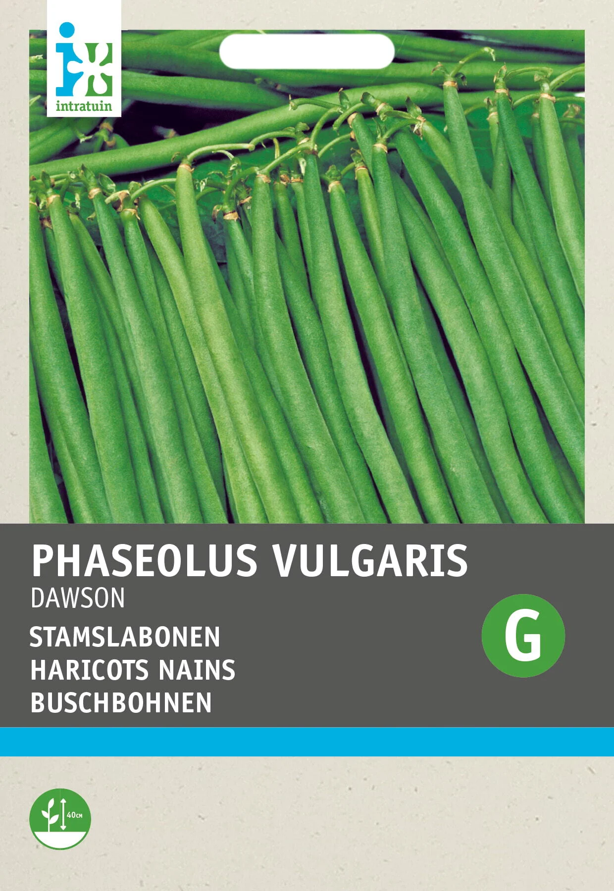 Intratuin groentezaad Stamslaboon (Phaseolus vulgaris 'Sonate')