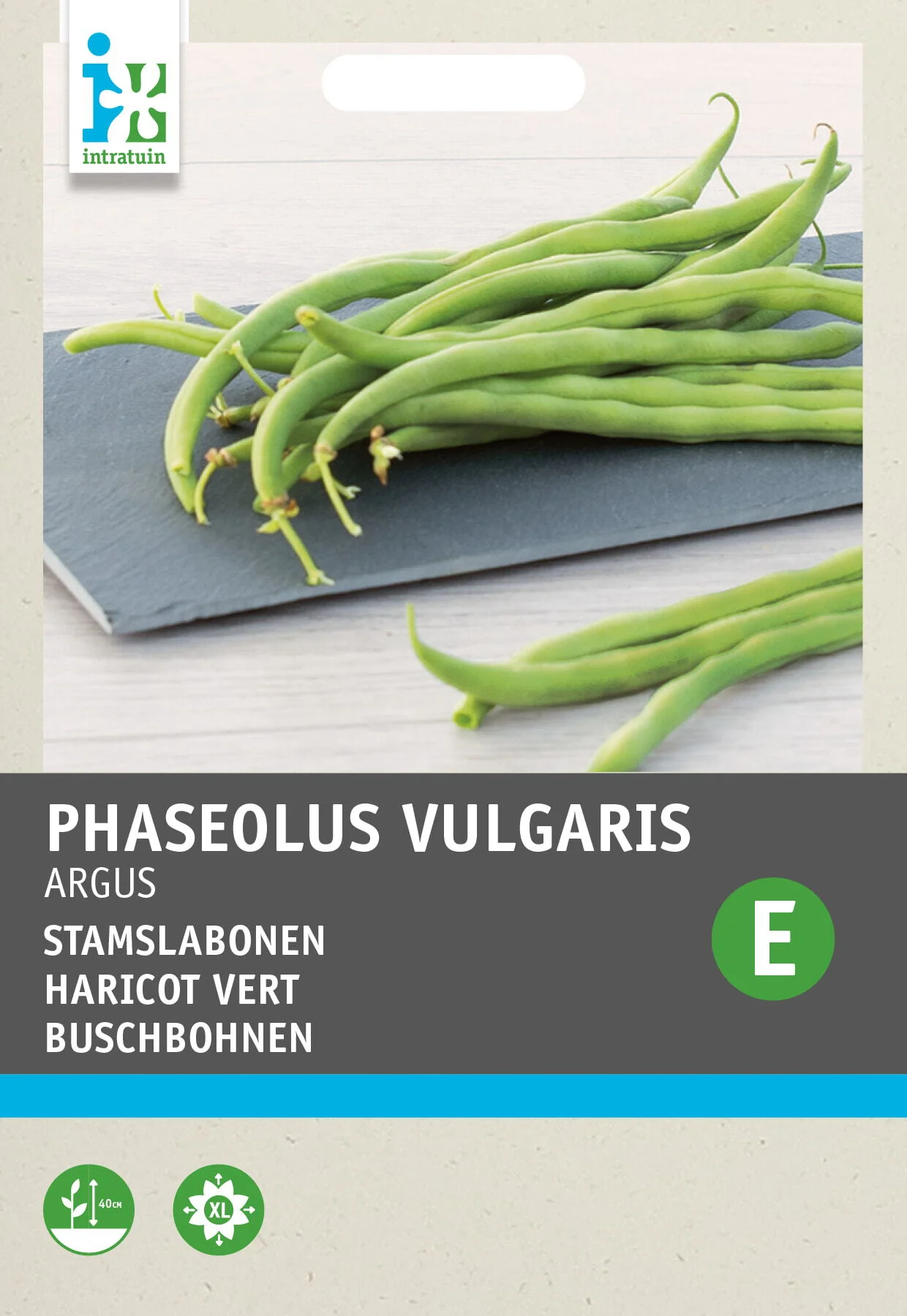 Intratuin groentezaad Stokslaboon (Phaseolus vulgaris 'Haricot Vert Argus')