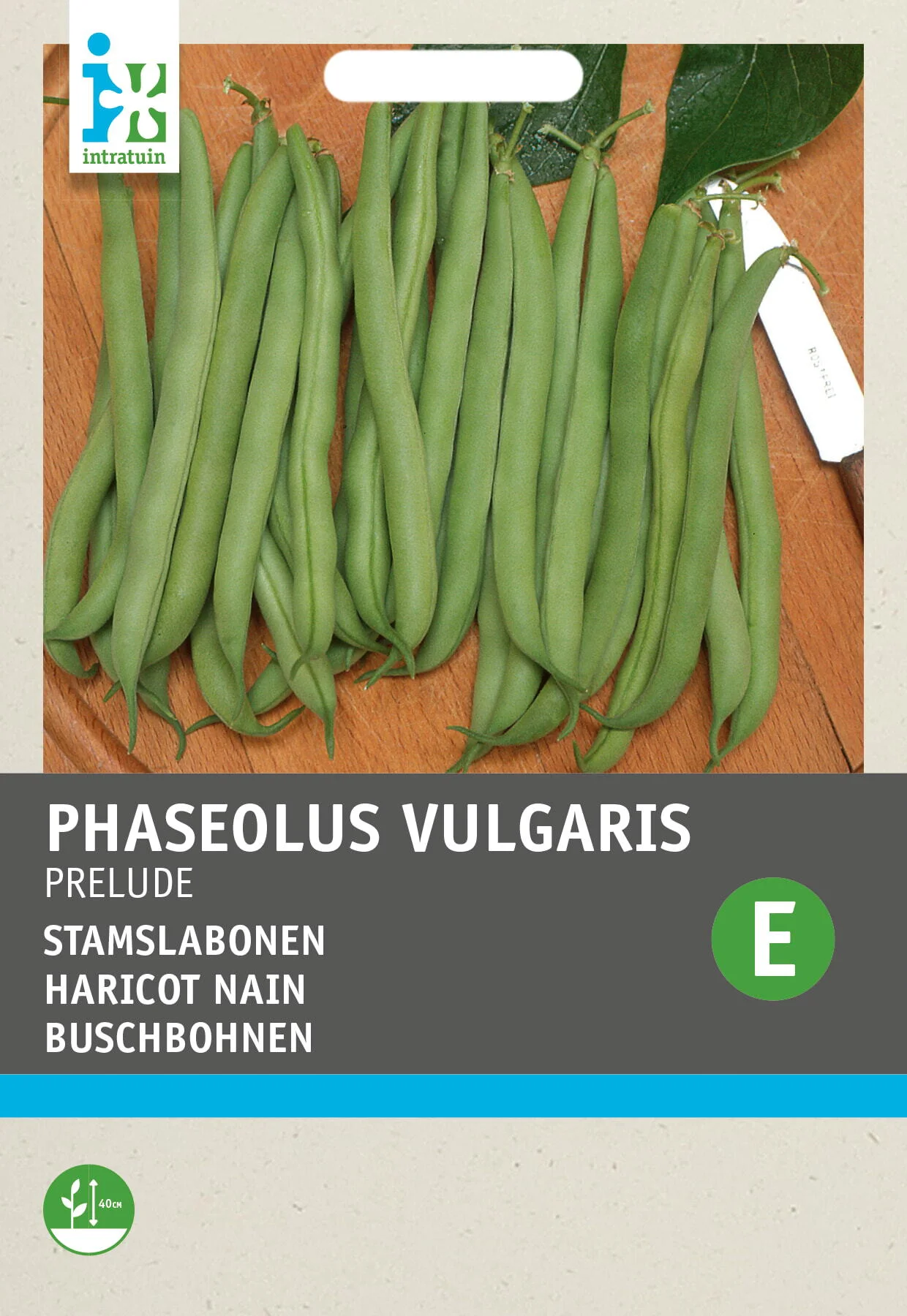 Intratuin groentezaad Stokslaboon (Phaseolus vulgaris 'Prelude')