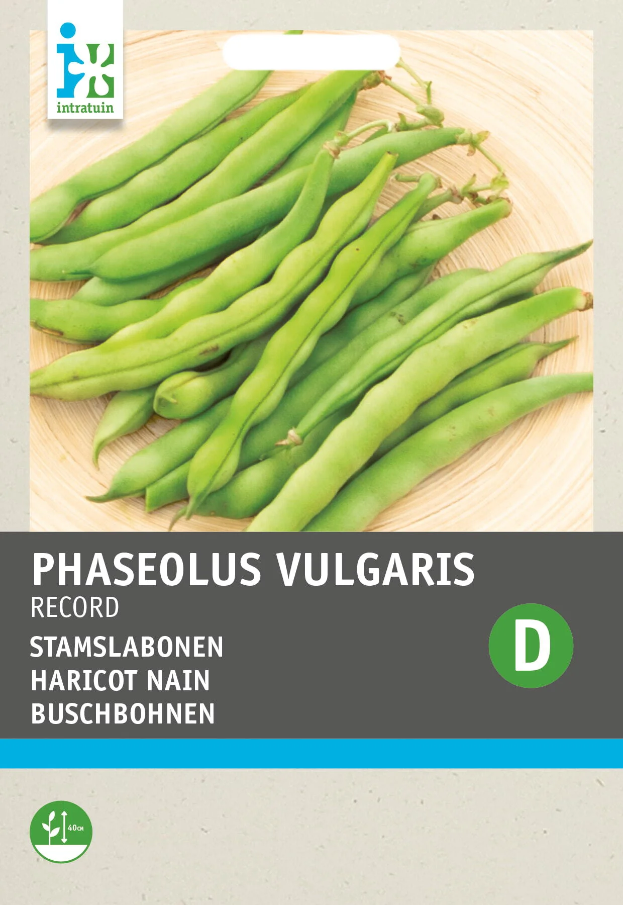 Intratuin groentezaad Stamslabonen (Phaseolus vulgaris 'Record')
