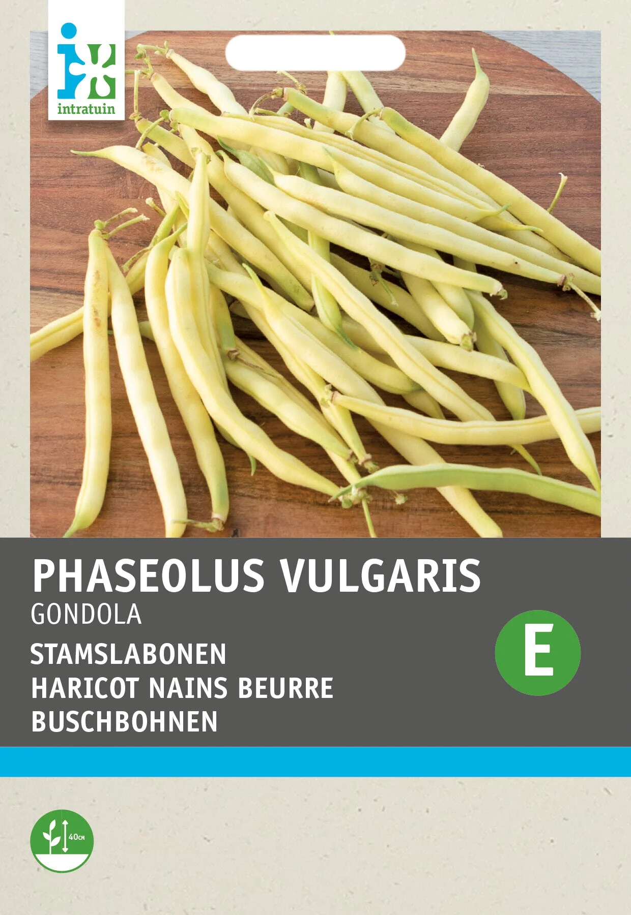 Intratuin groentezaad Stamslabonen (Phaseolus vulgaris 'Gondola')