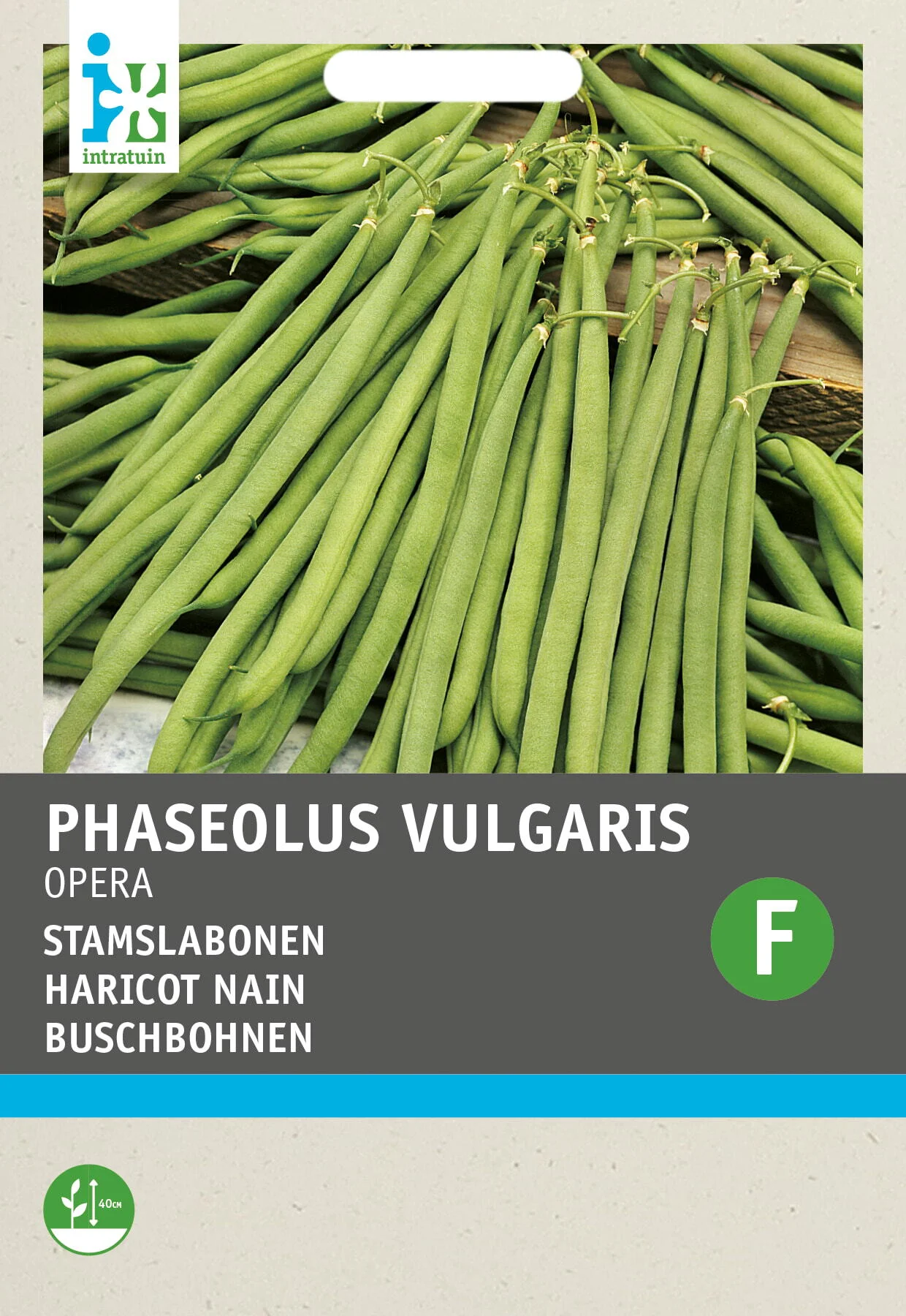 Intratuin groentezaad Stokslaboon (Phaseolus vulgaris 'Opera gourmet')