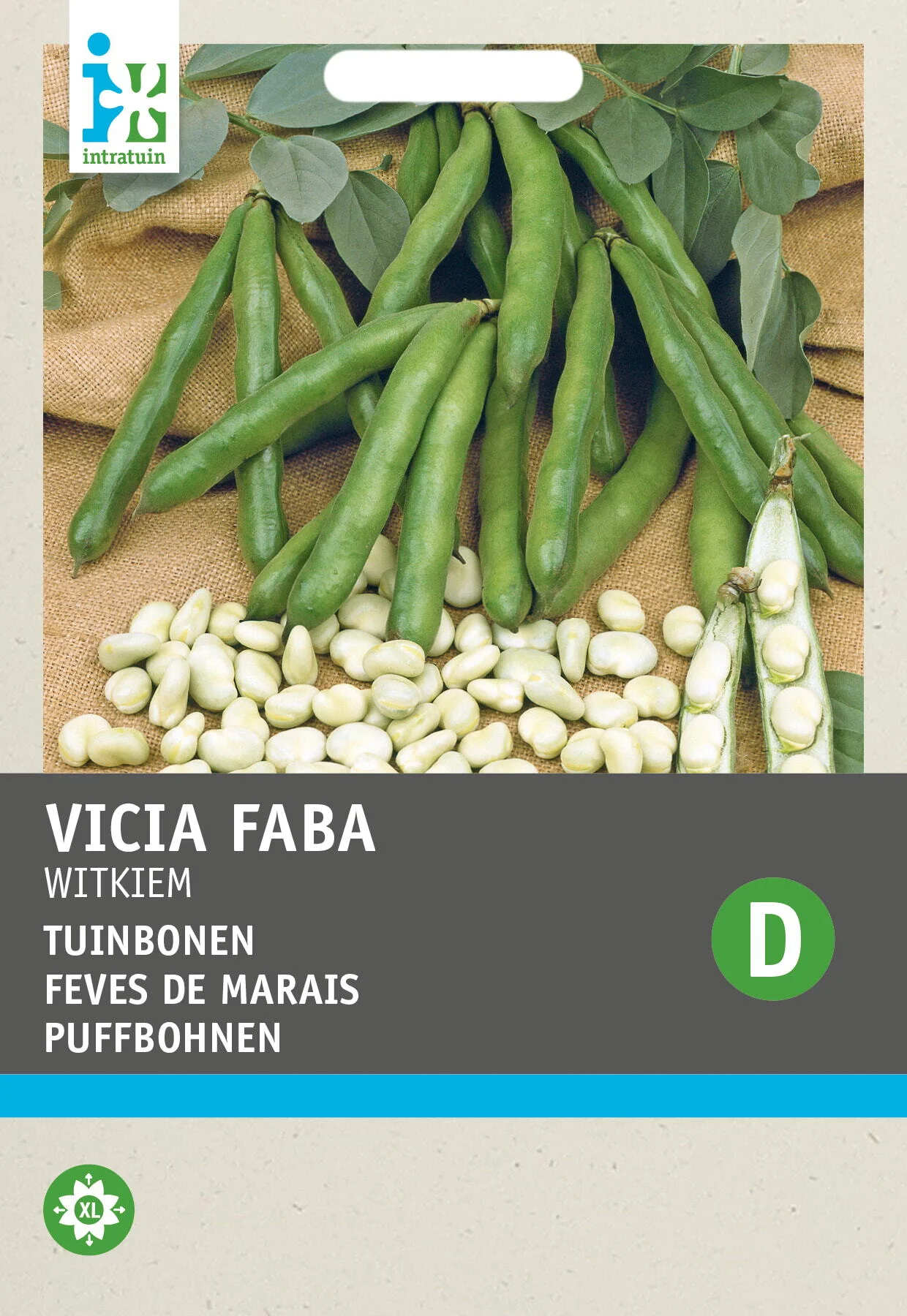 Intratuin groentezaad Tuinboon (Vicia faba 'Witkiem')