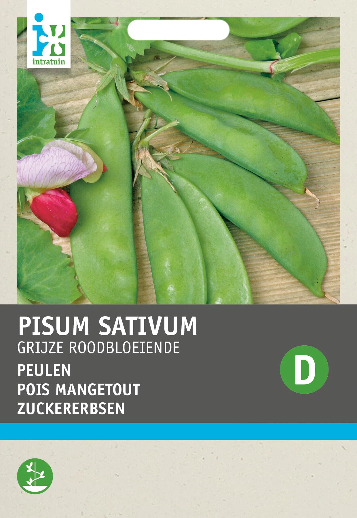 Intratuin groentezaad Peulen (Pisum sativum 'Grijze Roodbloeiende')