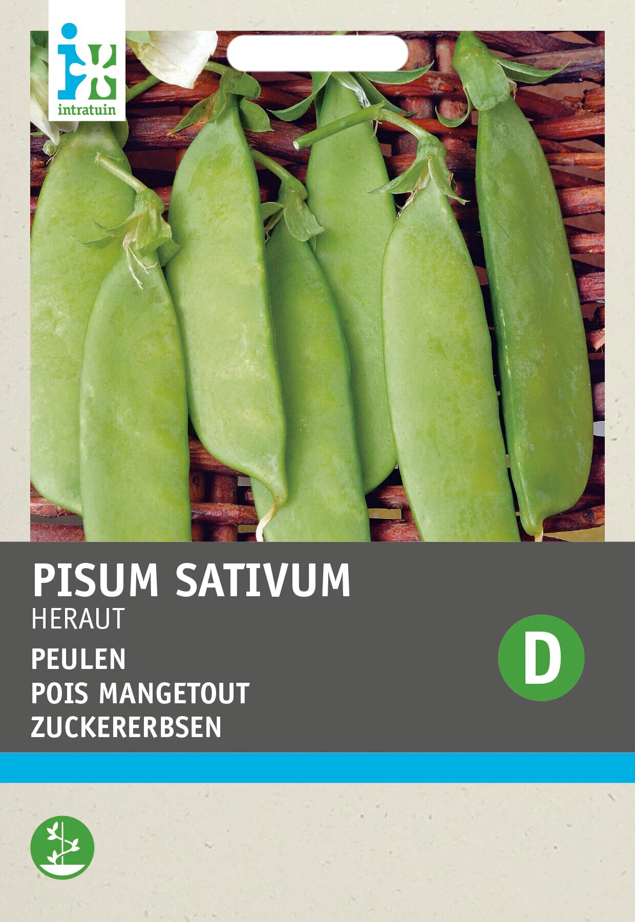 Intratuin groentezaad Peulen (Pisum sativum 'Heraut')