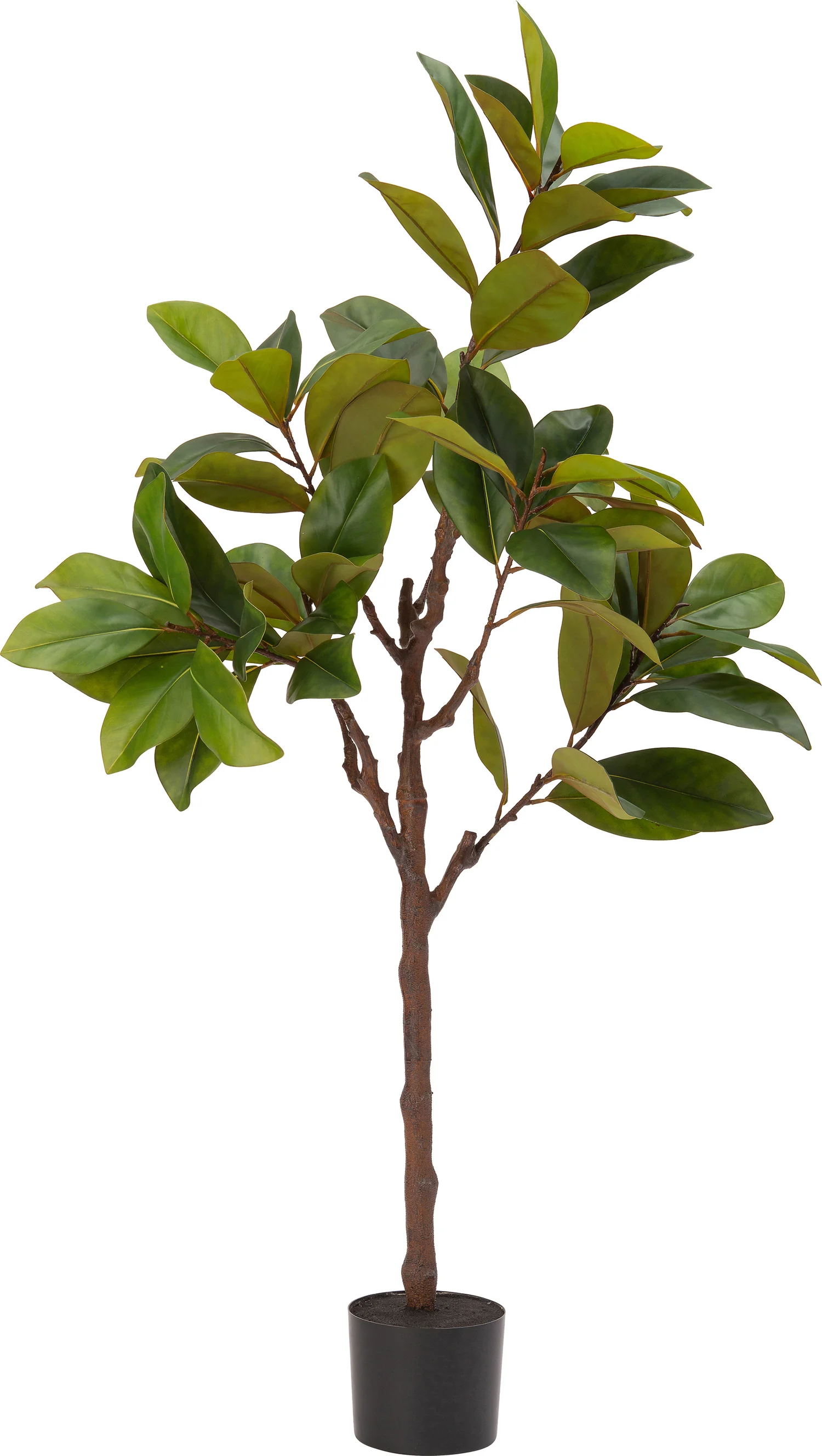 Intratuin kunstplant Magnolia 63 x 60 x 160 cm