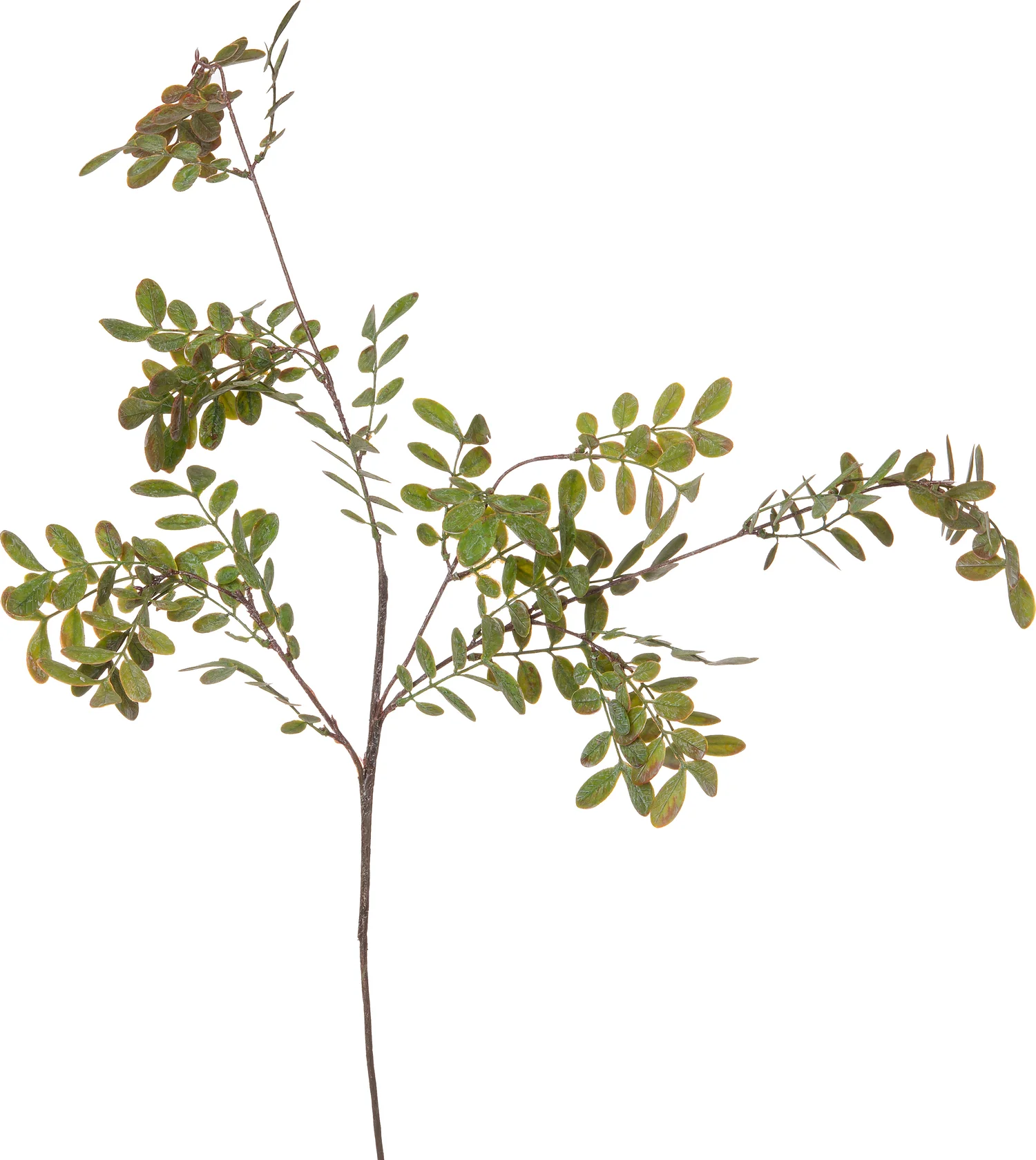 Intratuin kunsttak Japanse Hulst 94 cm groen