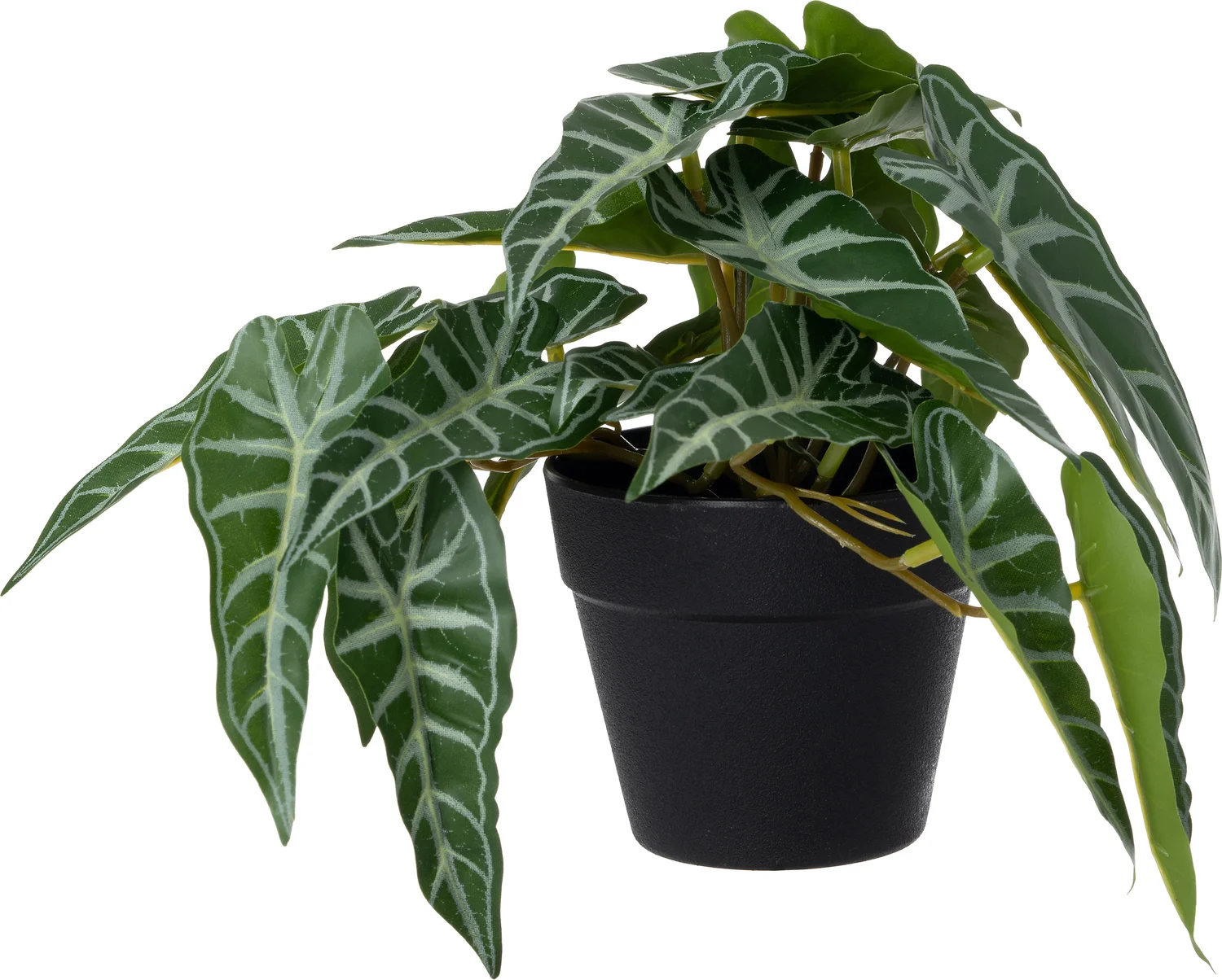 Intratuin kunstplant Alocasia 22 x 17 x 17 cm