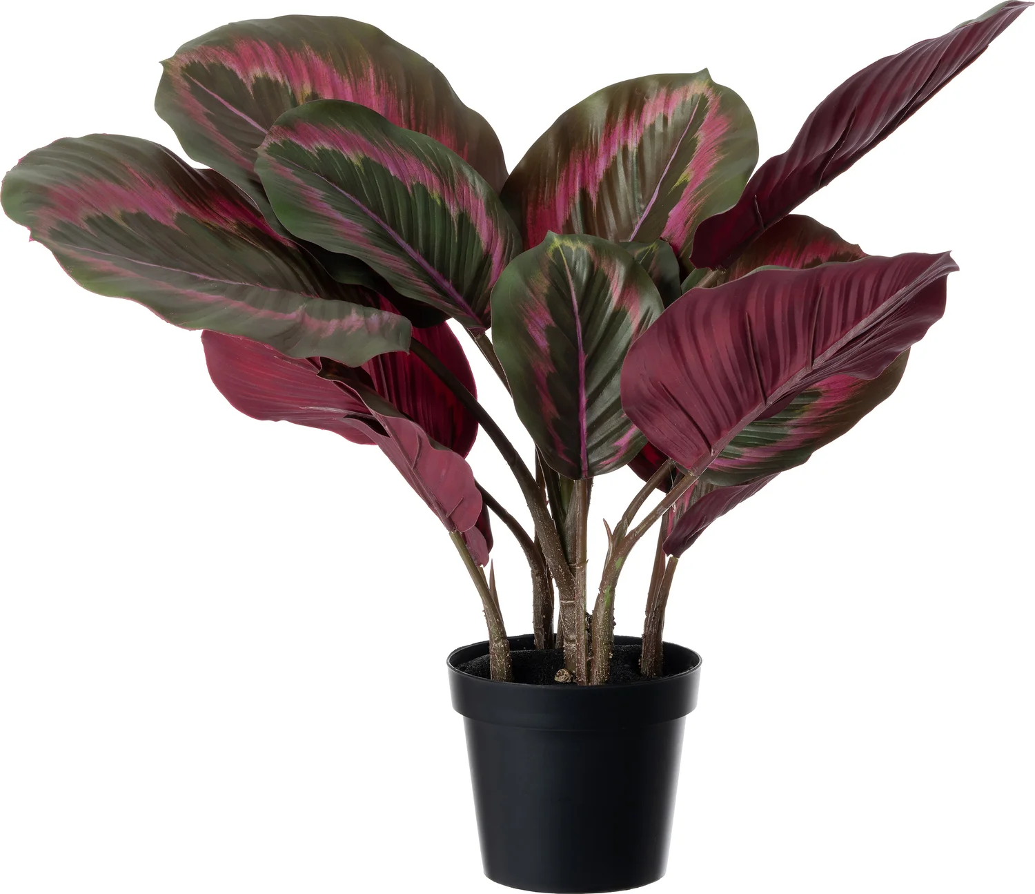 Intratuin kunstplant Calathea groen, rood 44 x 38 x 45 cm
