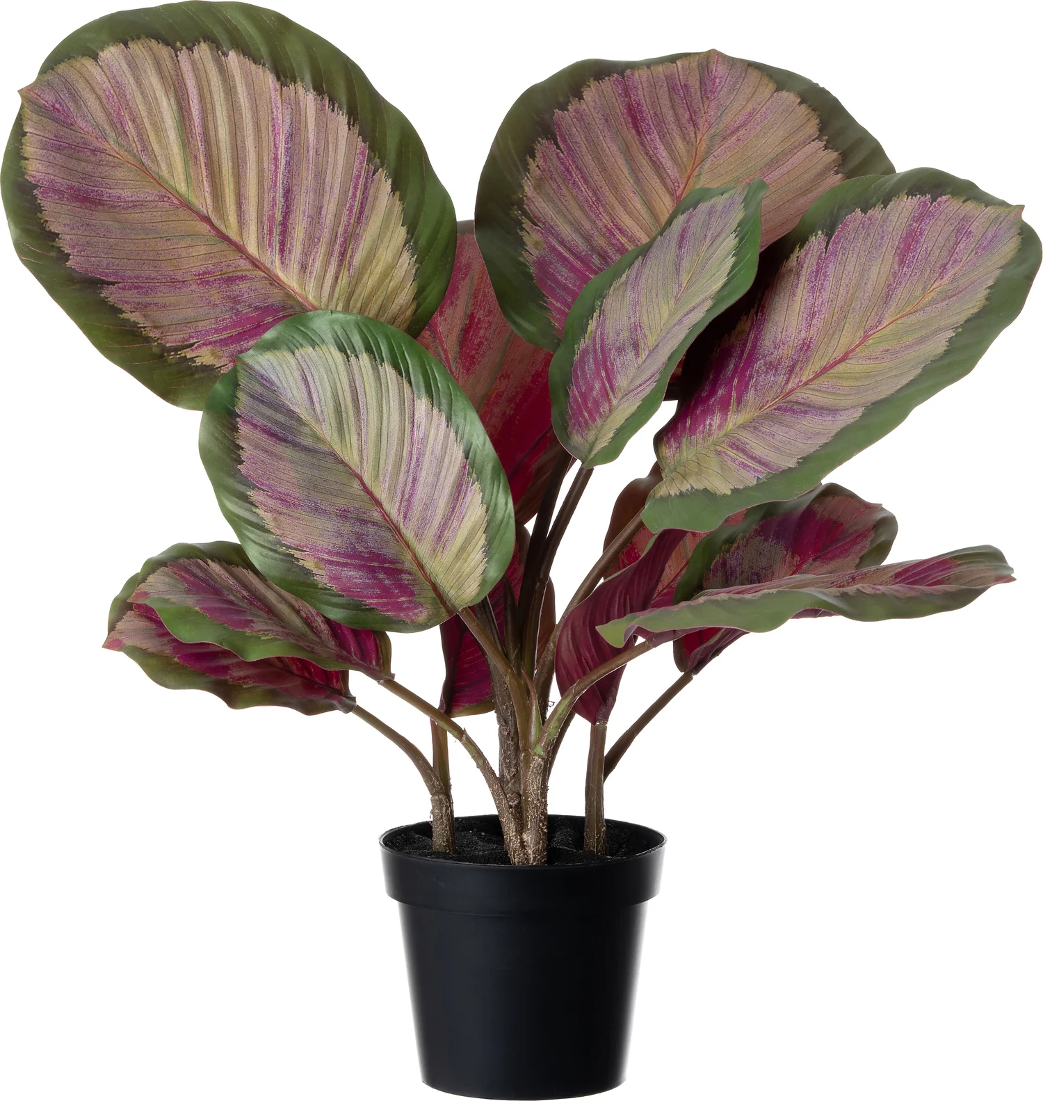 Intratuin kunstplant Calathea 44 x 38 x 45 cm