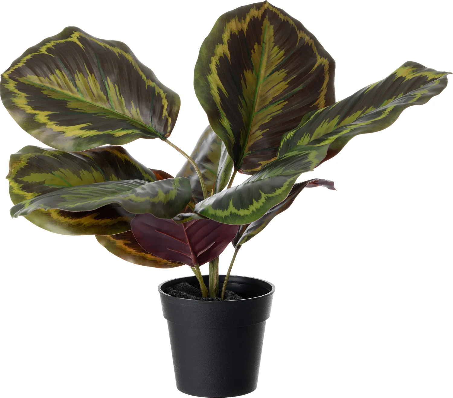 Intratuin kunstplant Calathea 32 x 32 x 38 cm