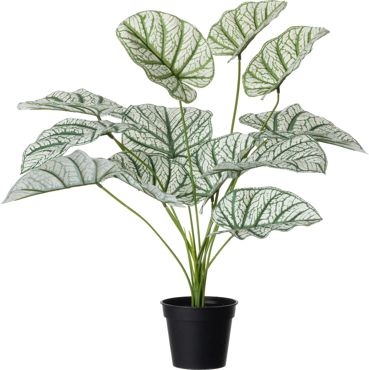 Intratuin kunstplant Caladium witgroen 47 x 47 x 60 cm