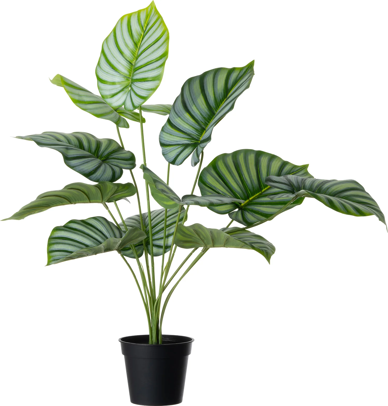 Intratuin kunstplant Caladium 47 x 47 x 60 cm