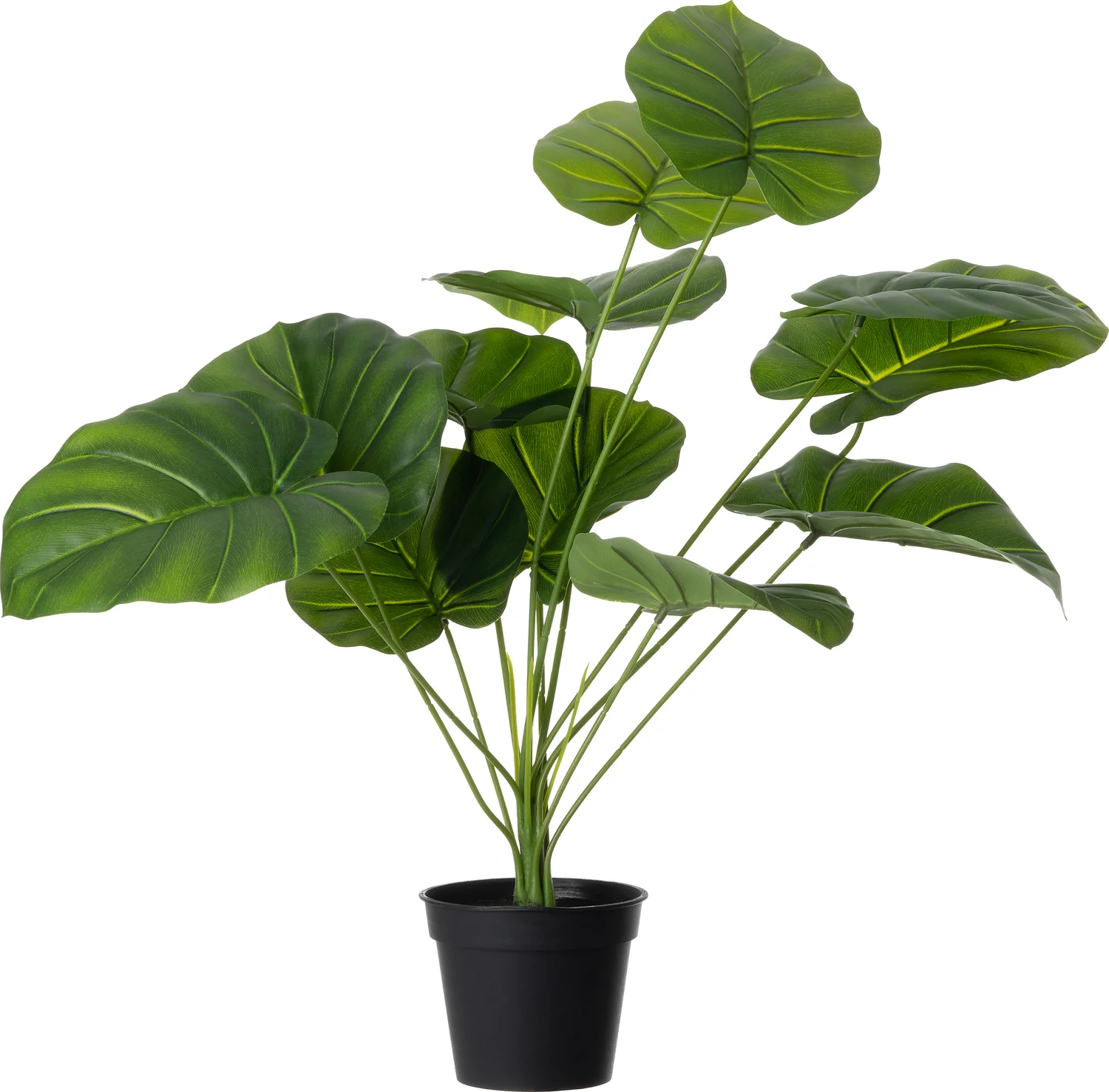 Intratuin kunstplant Alocasia 47 x 47 x 60 cm