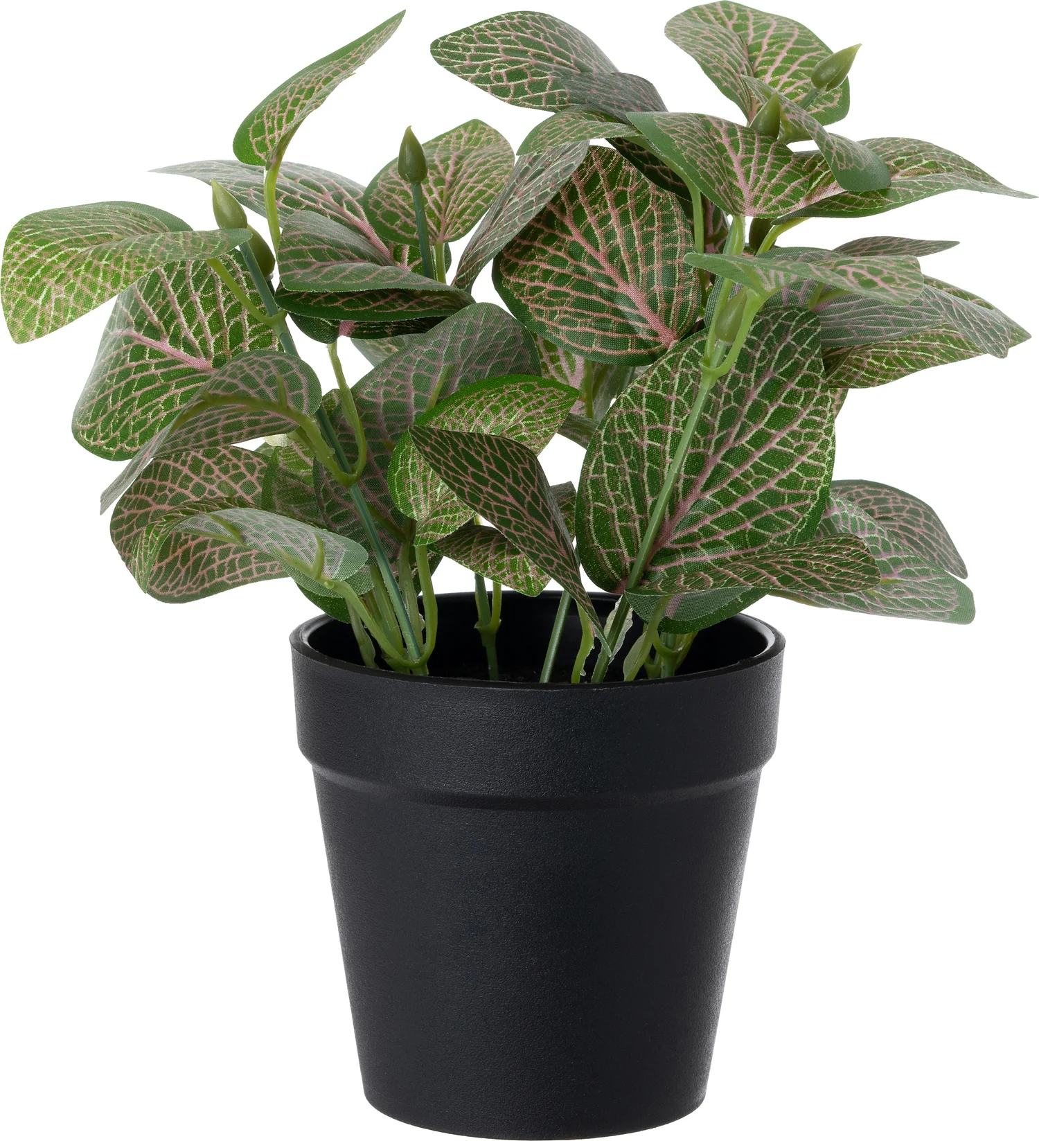 Intratuin kunstplant Fittonia 15 x 15 x 19 cm